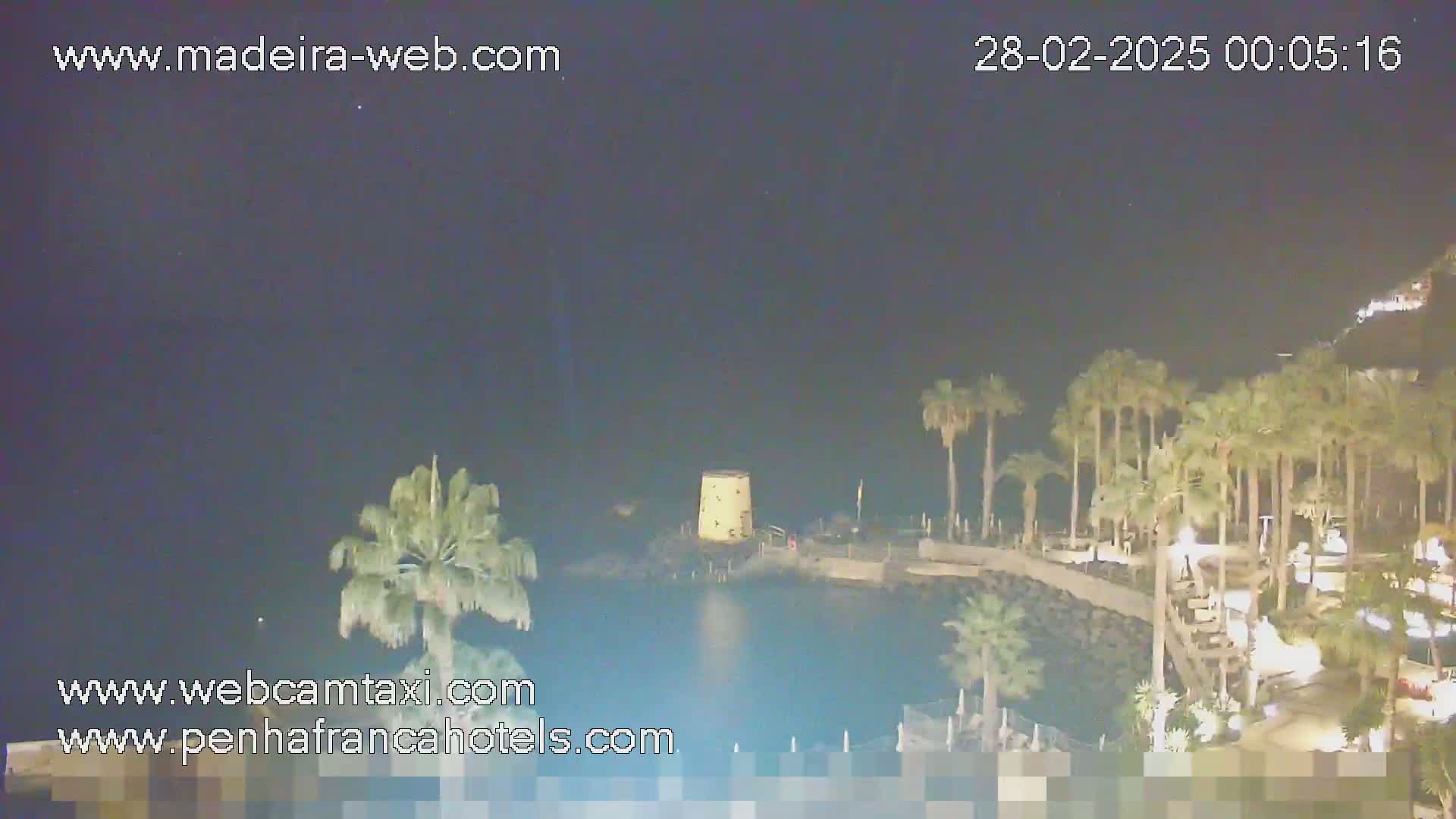 A nighttime view of a calm body of water, palm trees, and a small structure on a rocky shoreline under a clear, dark sky.