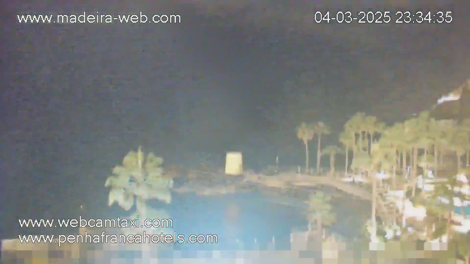 A nighttime, blurry view shows palm trees and a body of water under a dark sky.