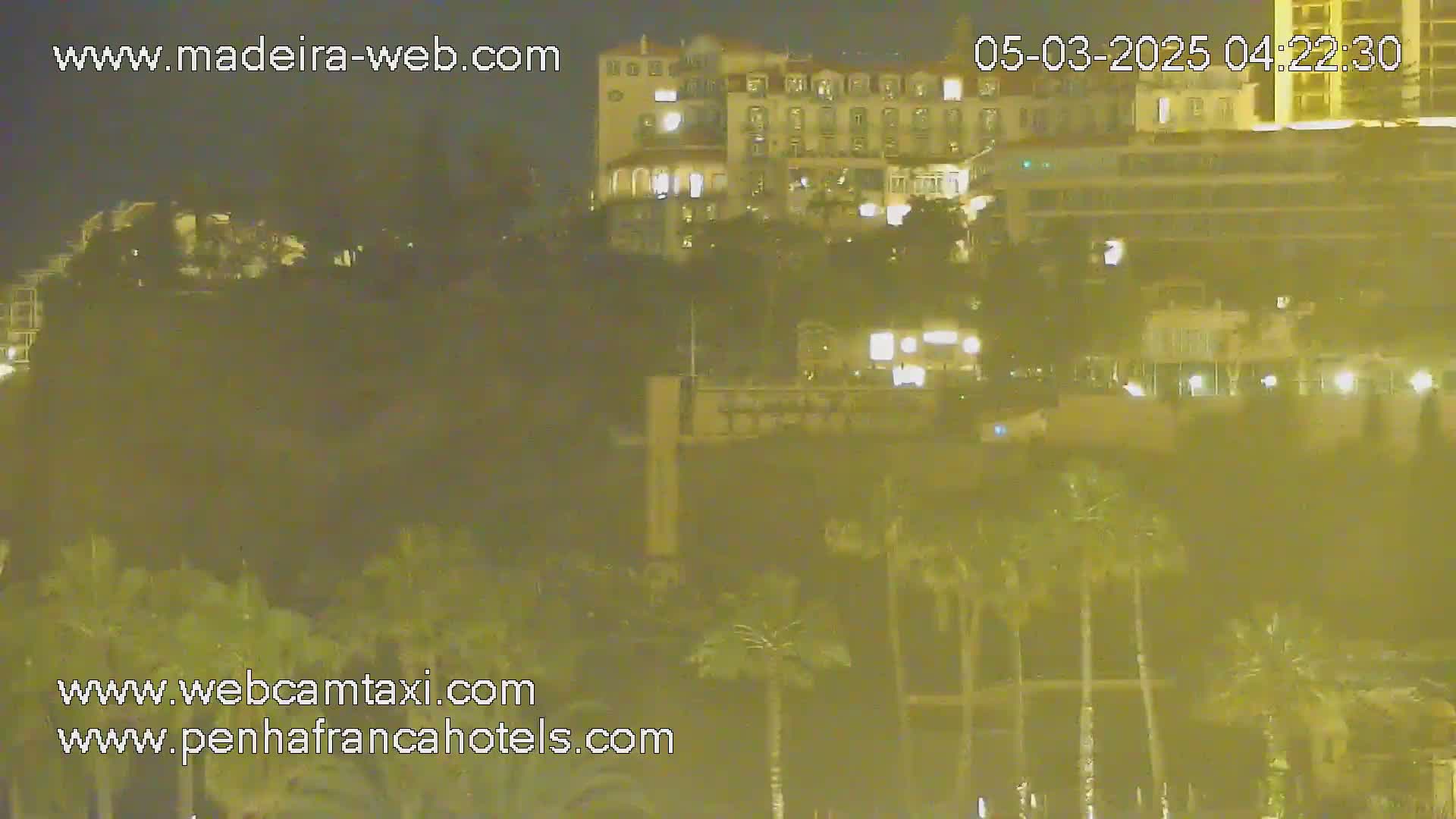 A nighttime view of a city with palm trees in the foreground and illuminated buildings in the background.