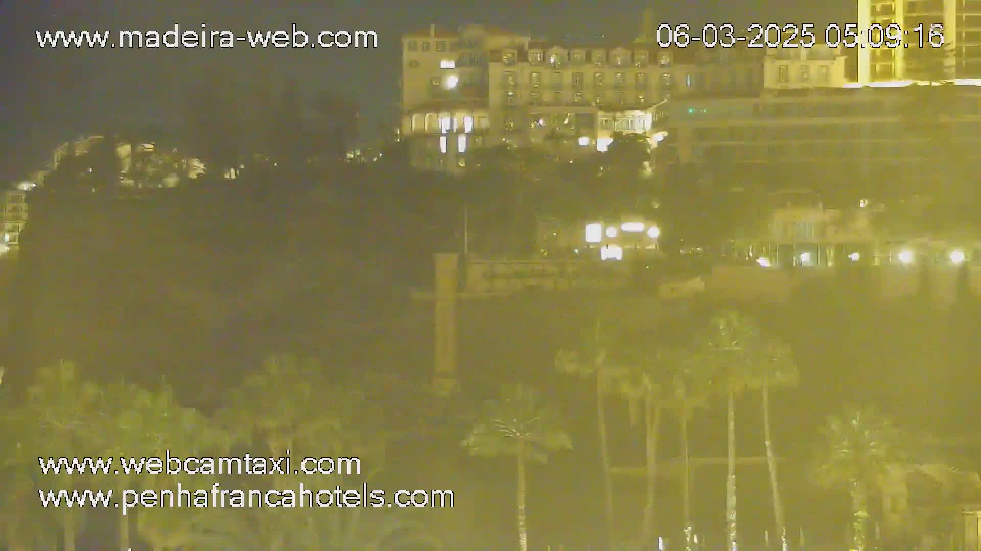 A nighttime view of a city with buildings illuminated and palm trees in the foreground.