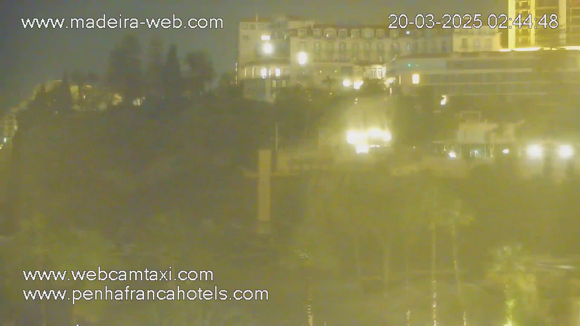 A nighttime, hazy view of a multi-story building partially obscured by trees and vegetation.
