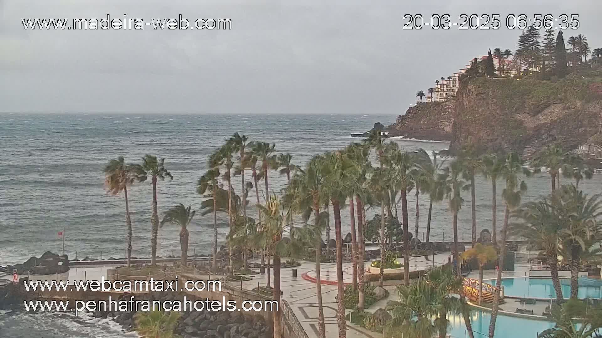 A windy coastal scene shows palm trees bending in the wind near a resort with swimming pools overlooking a rocky ocean shore and distant buildings on a cliff.