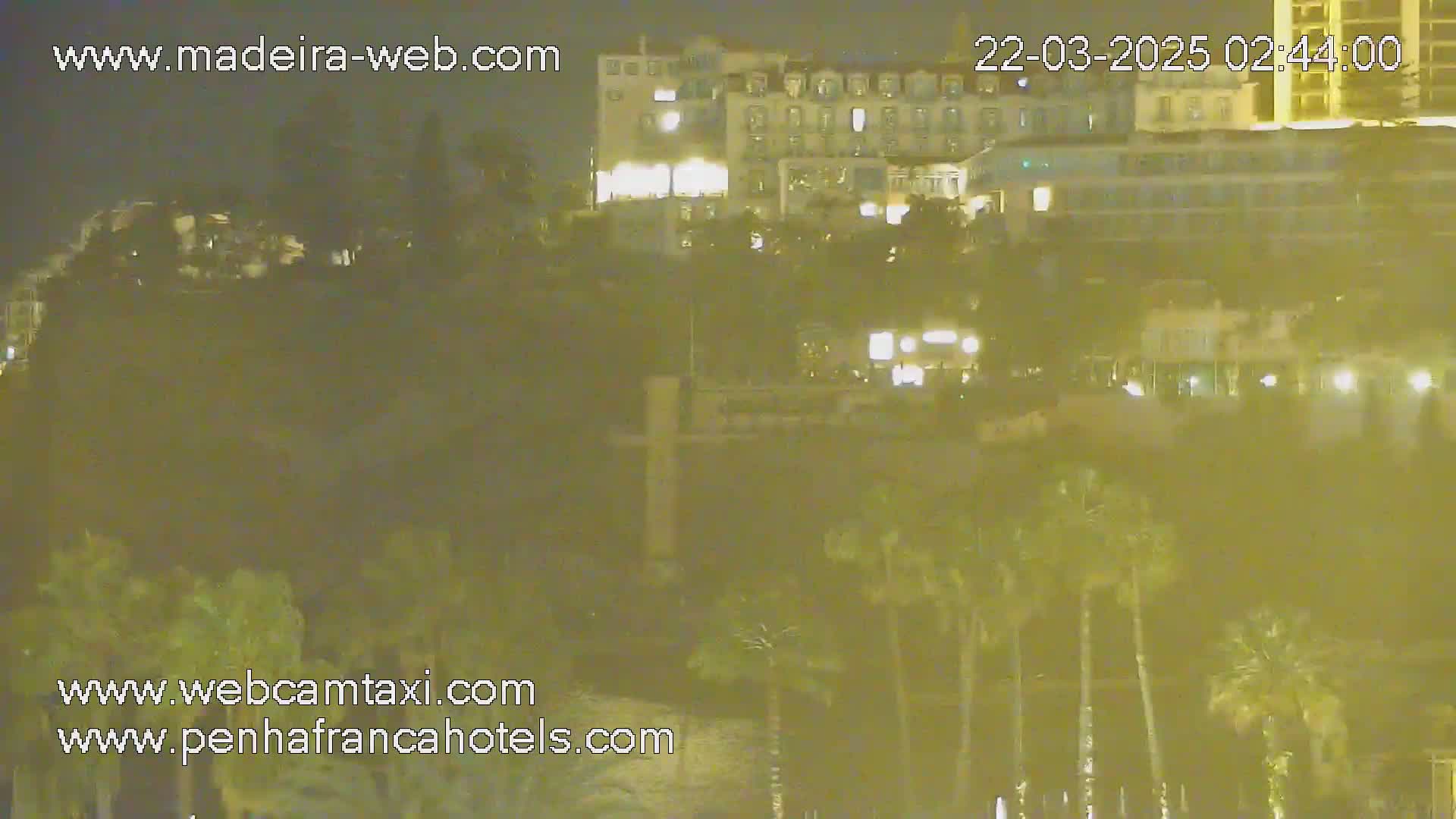 A nighttime view of a hill covered in palm trees with a brightly lit hotel building visible in the background under a clear, dark sky.