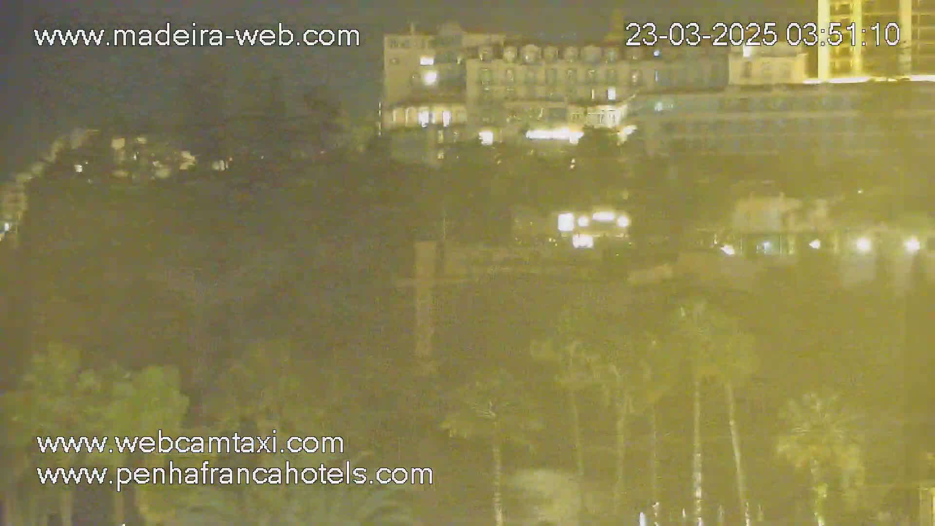 A nighttime, blurry long shot shows a hillside with palm trees in front of a brightly lit building.