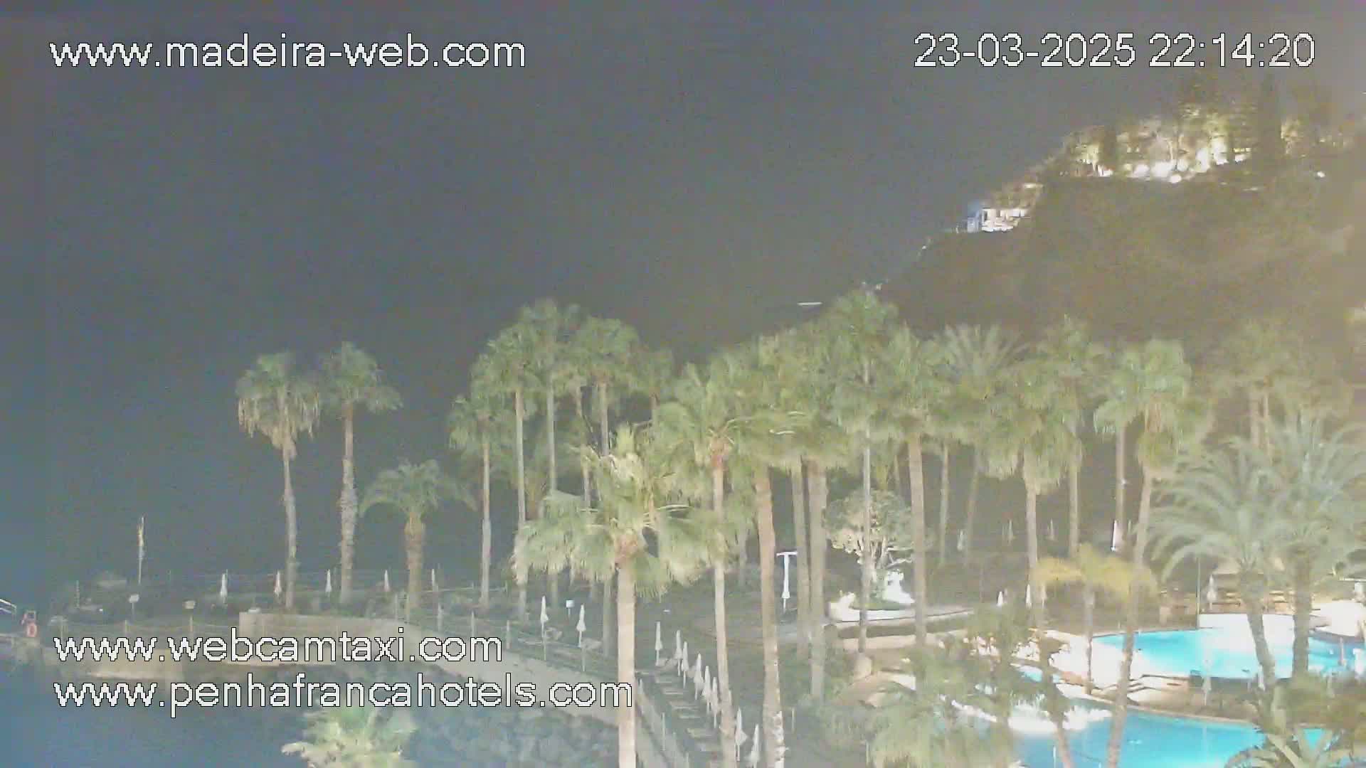 A nighttime view of a resort area with palm trees surrounding a swimming pool, overlooking a dark hill lit by lights.