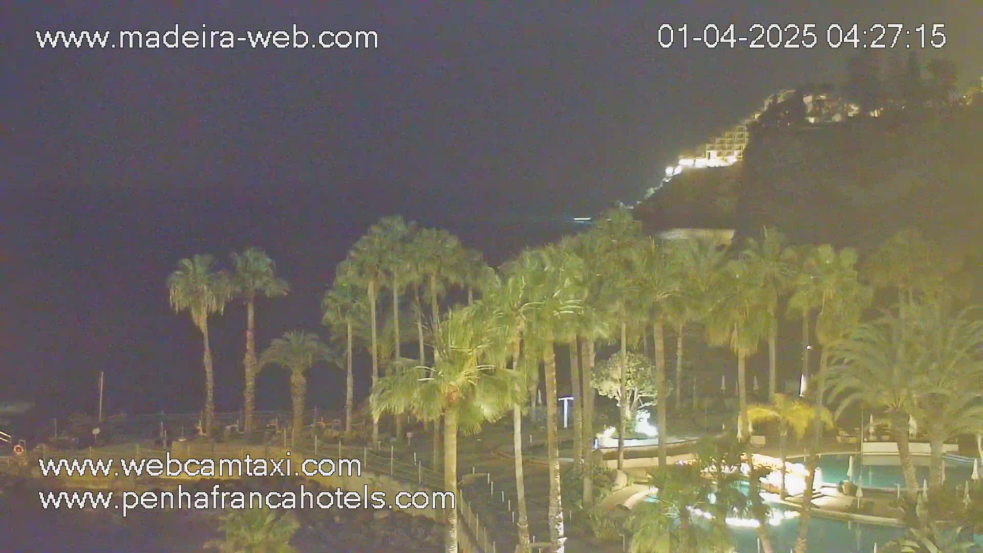A nighttime view of palm trees surrounding a swimming pool complex, with a hillside building illuminated in the background.
