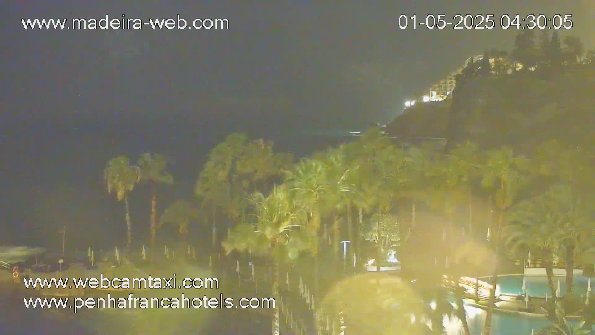 A nighttime view of palm trees and a swimming pool near a cliffside building under a dark sky.