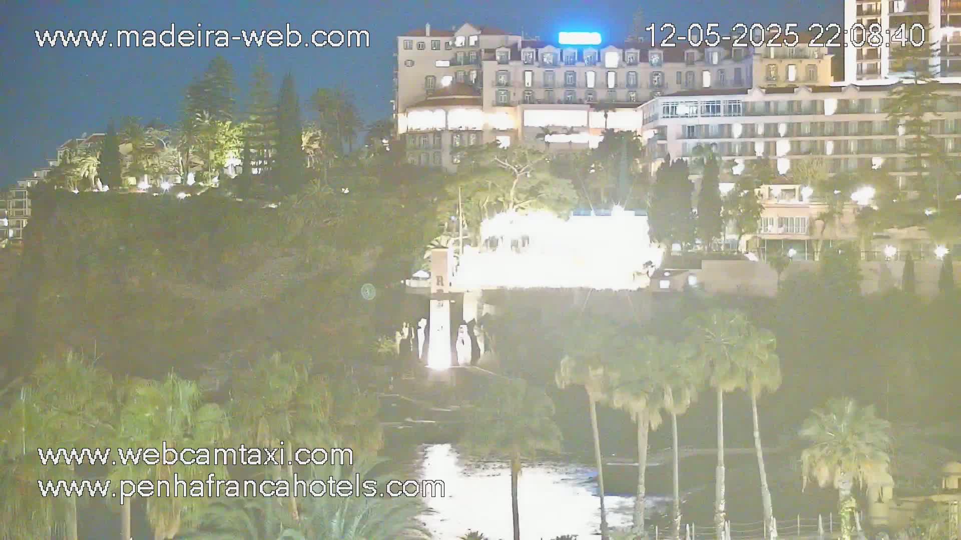 A nighttime view of a hillside with palm trees, lush vegetation, and brightly lit buildings, under a dark sky.