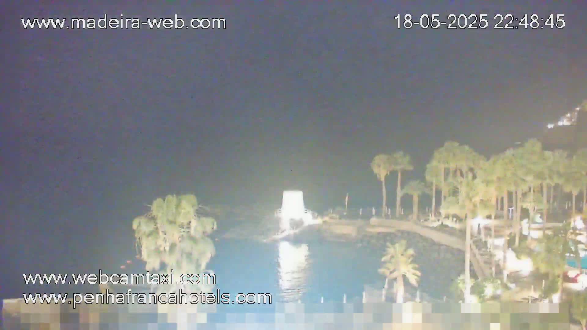 A nighttime view of a calm body of water bordered by palm trees under a dark sky.