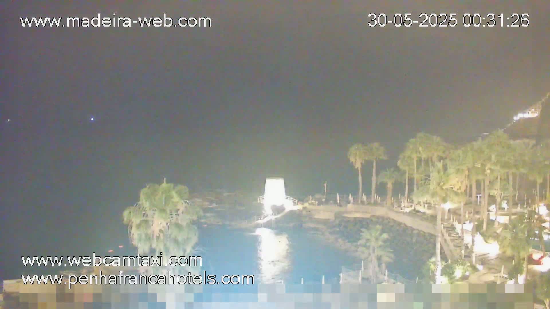 A nighttime coastal scene shows palm trees illuminated near a body of water under a dark, clear sky.