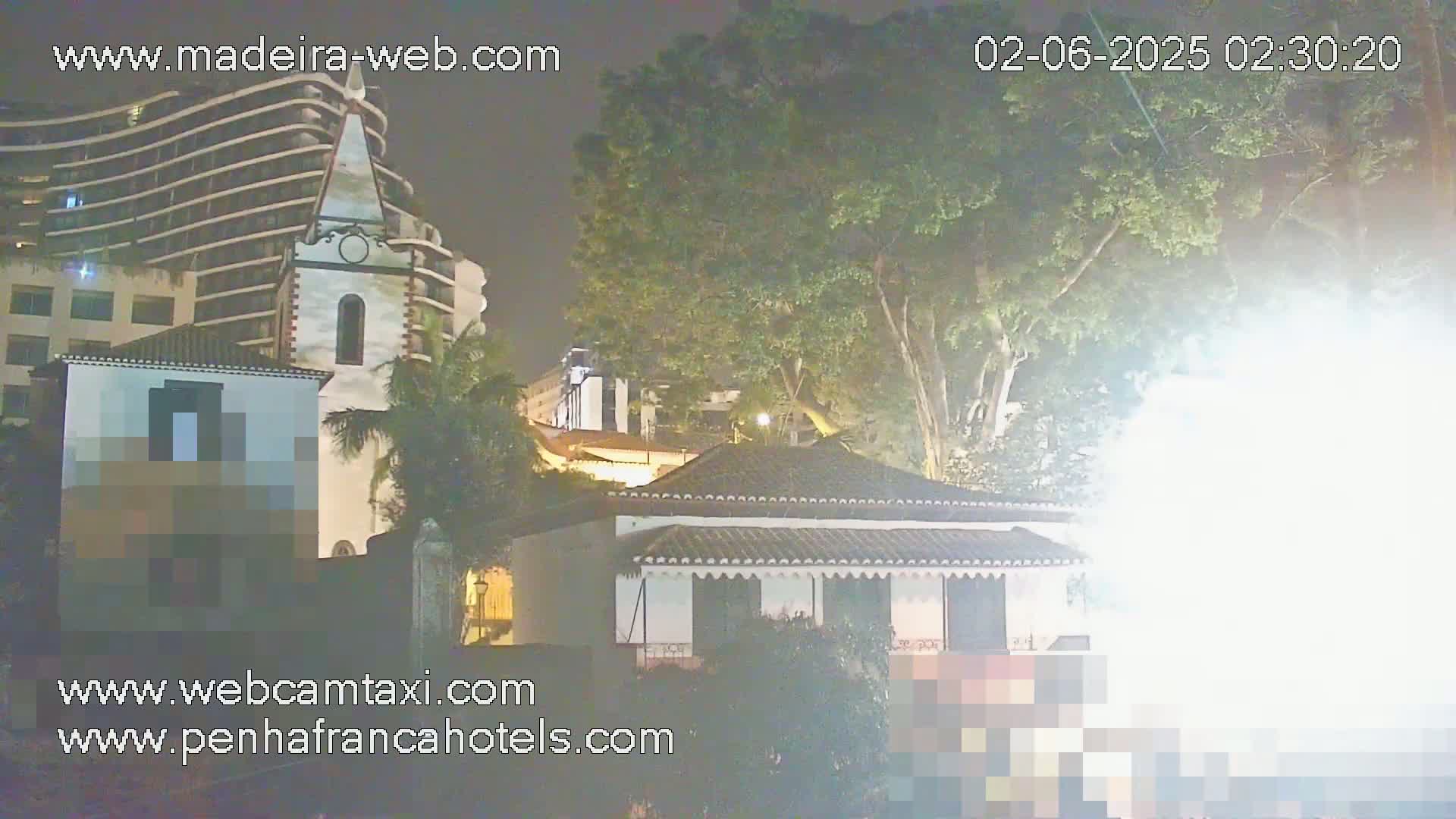 At night, a white building with a bell tower is partially obscured by a large tree in front of a modern high-rise building.