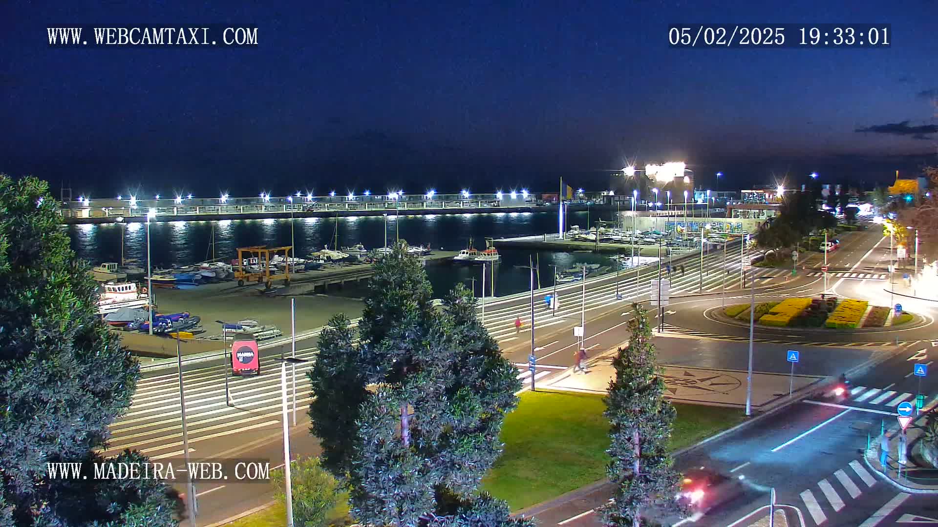 A nighttime view of a marina with boats docked, illuminated by lights, next to a roadway with sparse traffic and landscaping under a clear, dark sky.