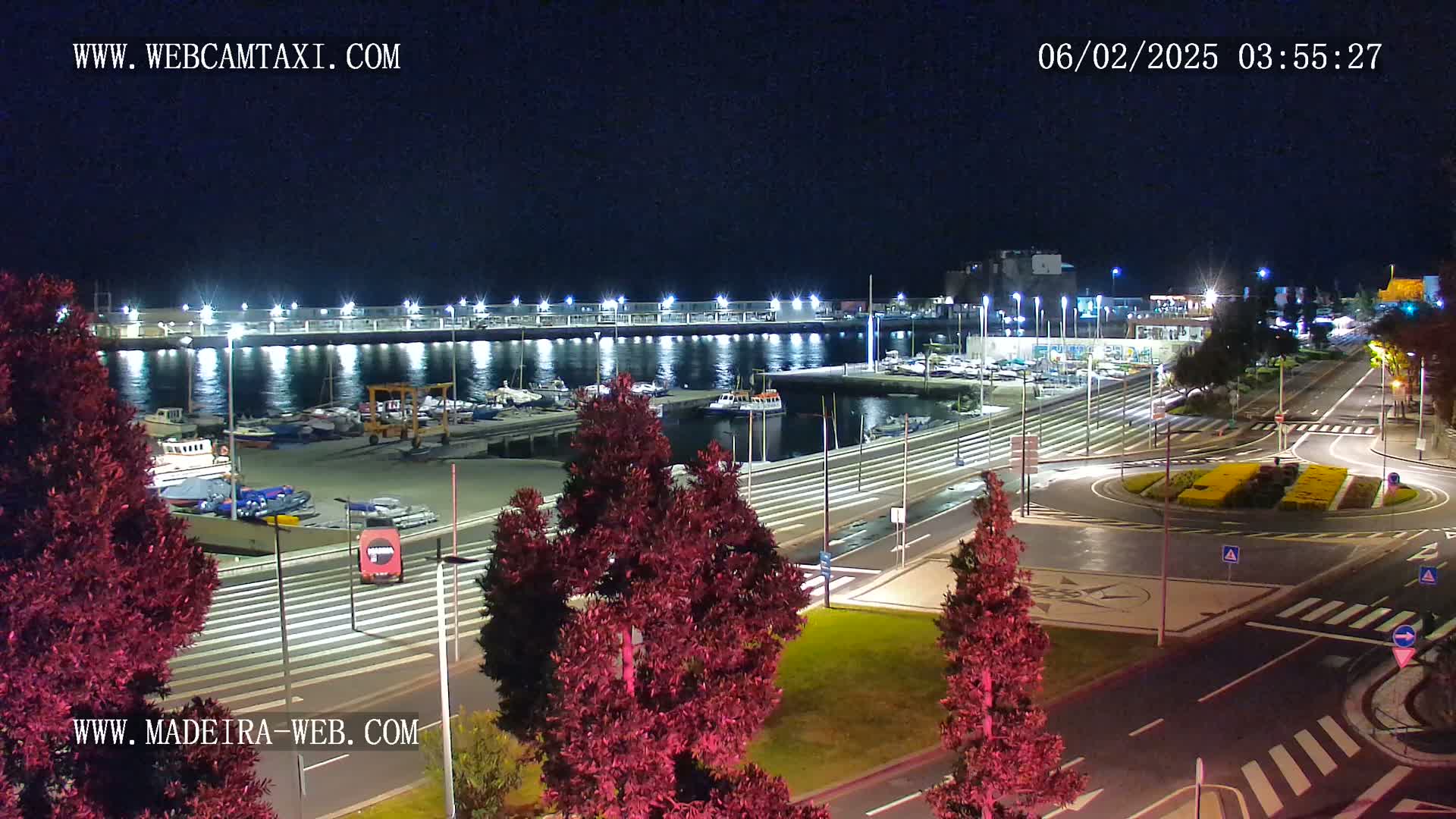 A nighttime view of a marina filled with boats, adjacent to a roadway with a roundabout, surrounded by dark-reddish trees under a clear, dark sky.
