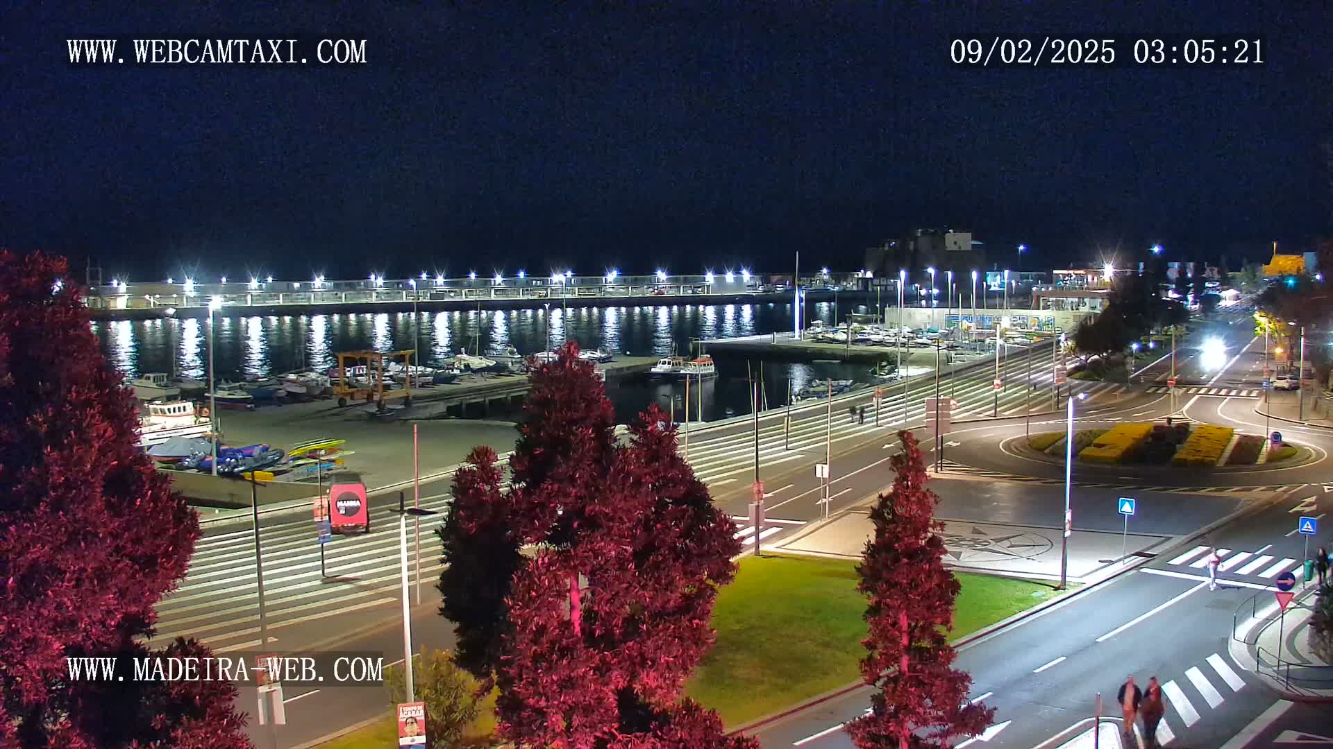 A nighttime view of a harbor filled with boats, next to a roadway with a roundabout, under a clear, dark sky.