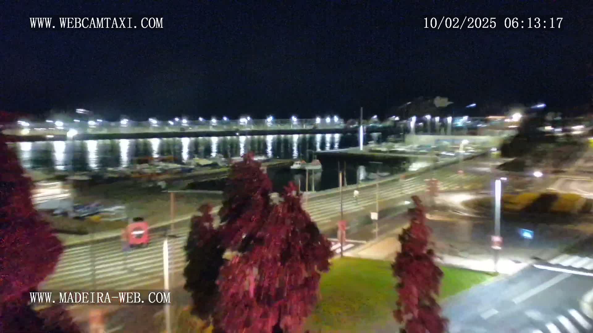 A nighttime view of a harbor with boats moored, a bridge in the distance, and dark red plants in the foreground under a clear sky.