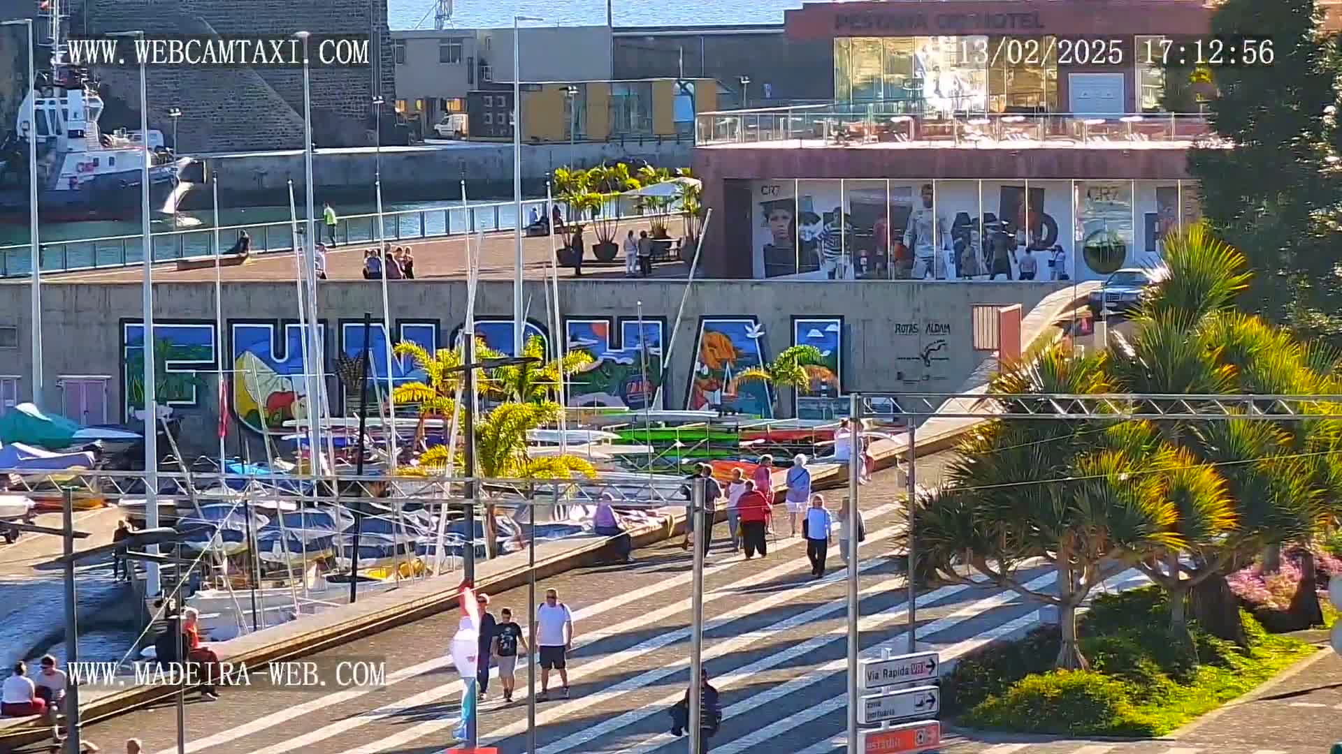 A sunny harbor scene shows numerous sailboats docked along a waterfront promenade where people are walking, with palm trees and a large mural visible on a nearby building.