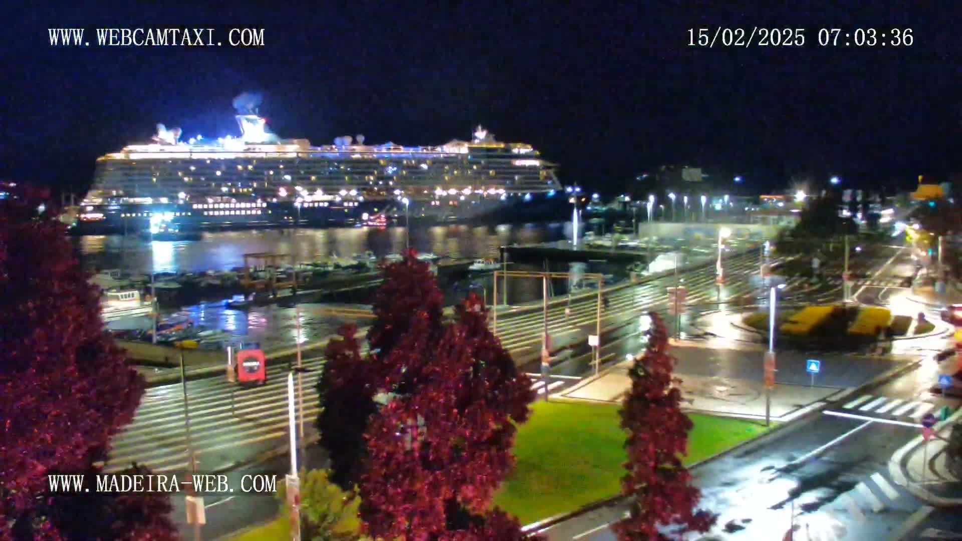 A large cruise ship is docked at a harbor at night in the rain, with surrounding streets and landscaping visible.