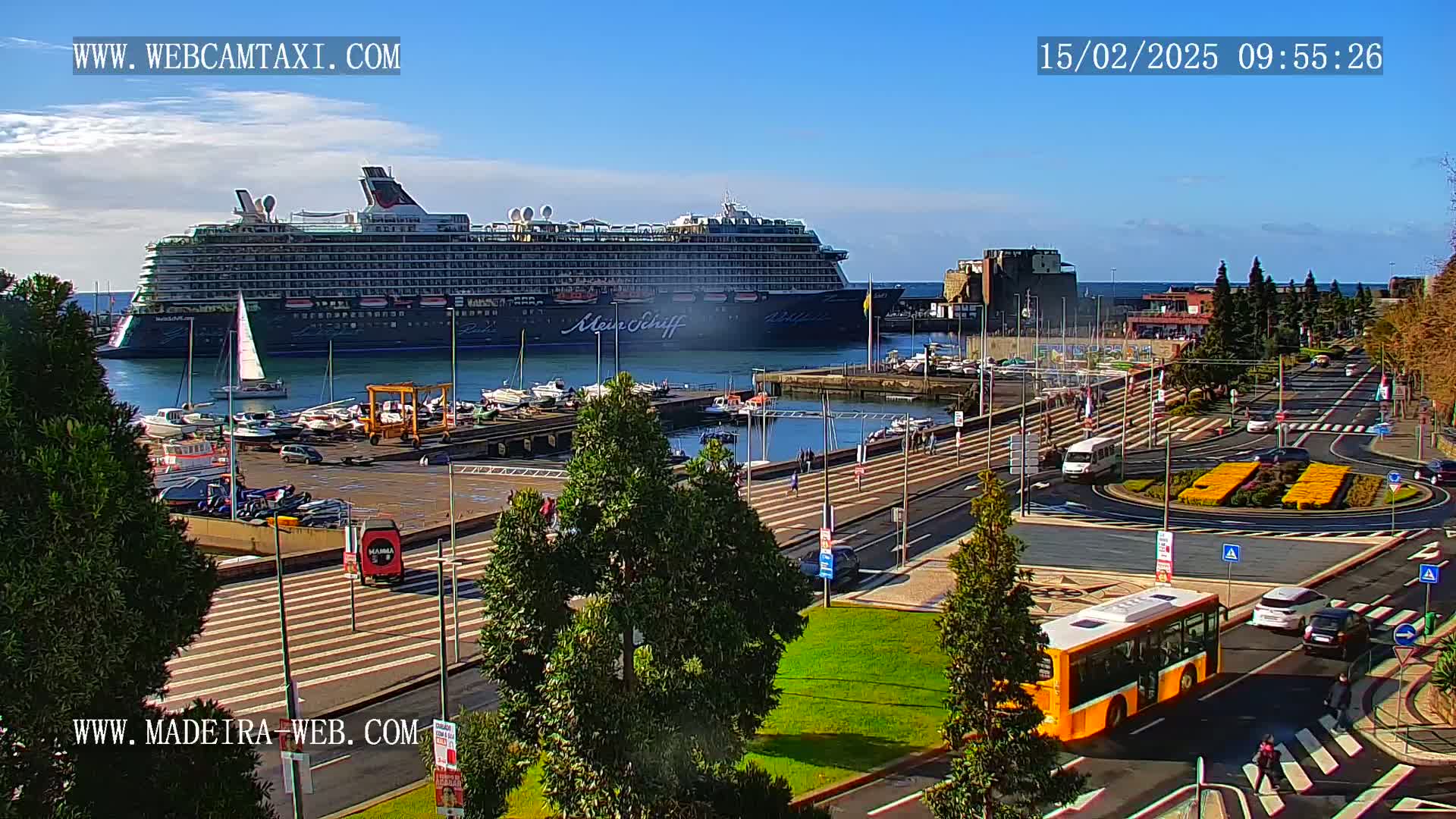 A large cruise ship is docked in a harbor on a sunny day, with a marina and city streets visible in the foreground.