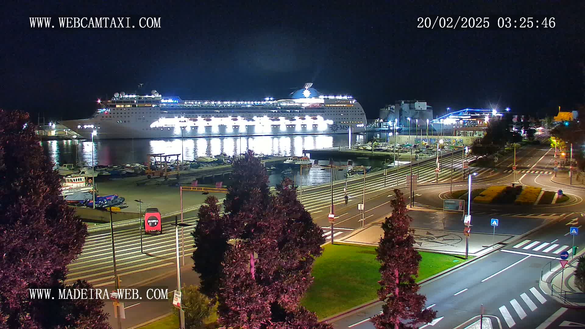 A large cruise ship is docked at a port at night, with well-lit roads and landscaping visible around the harbor.