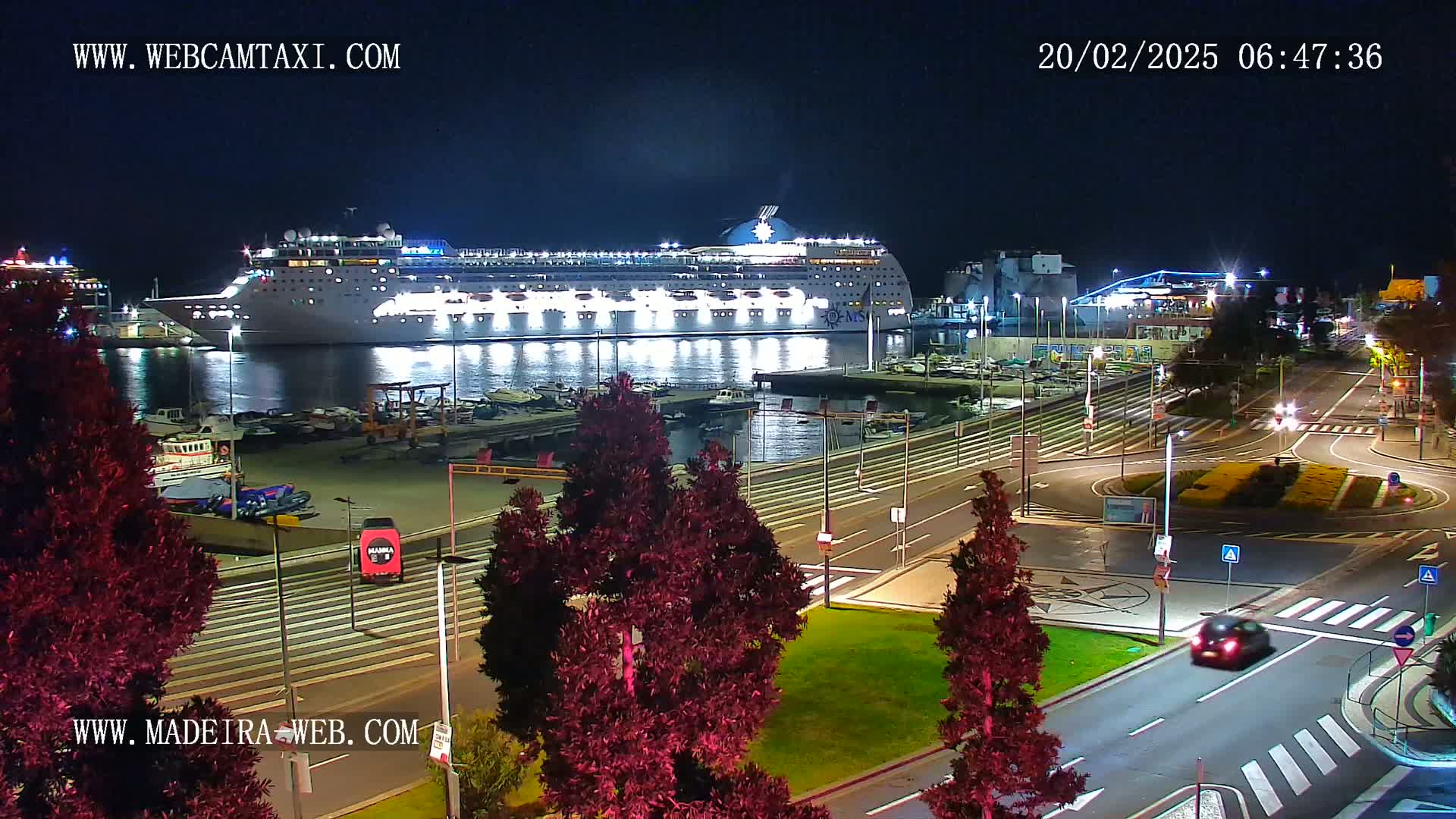 A large cruise ship is docked at a harbor at night, with city streets and illuminated landscaping visible in the foreground.