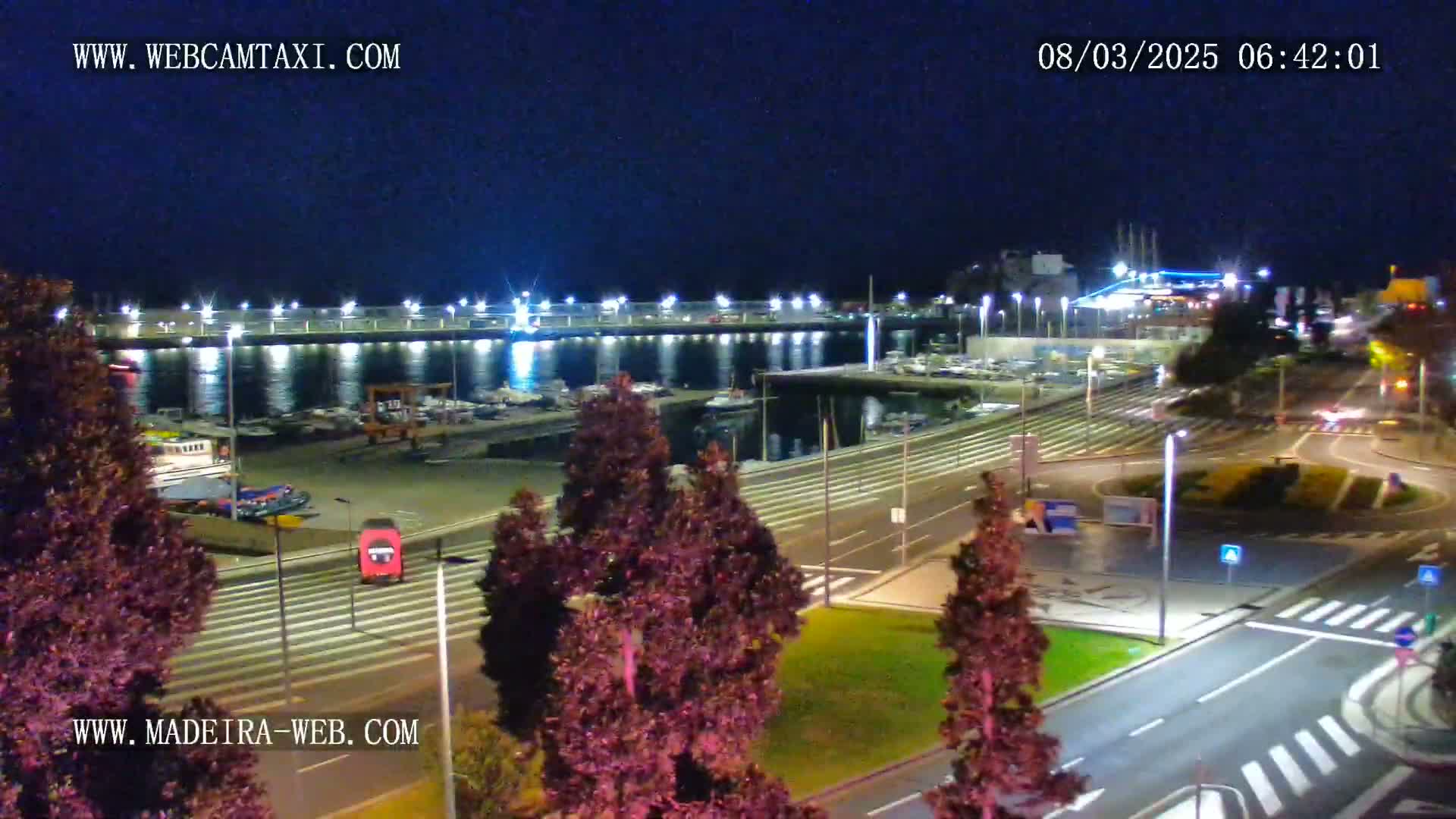 A nighttime view of a harbor marina with boats docked, illuminated by lights, next to a roadway with some cars and trees.
