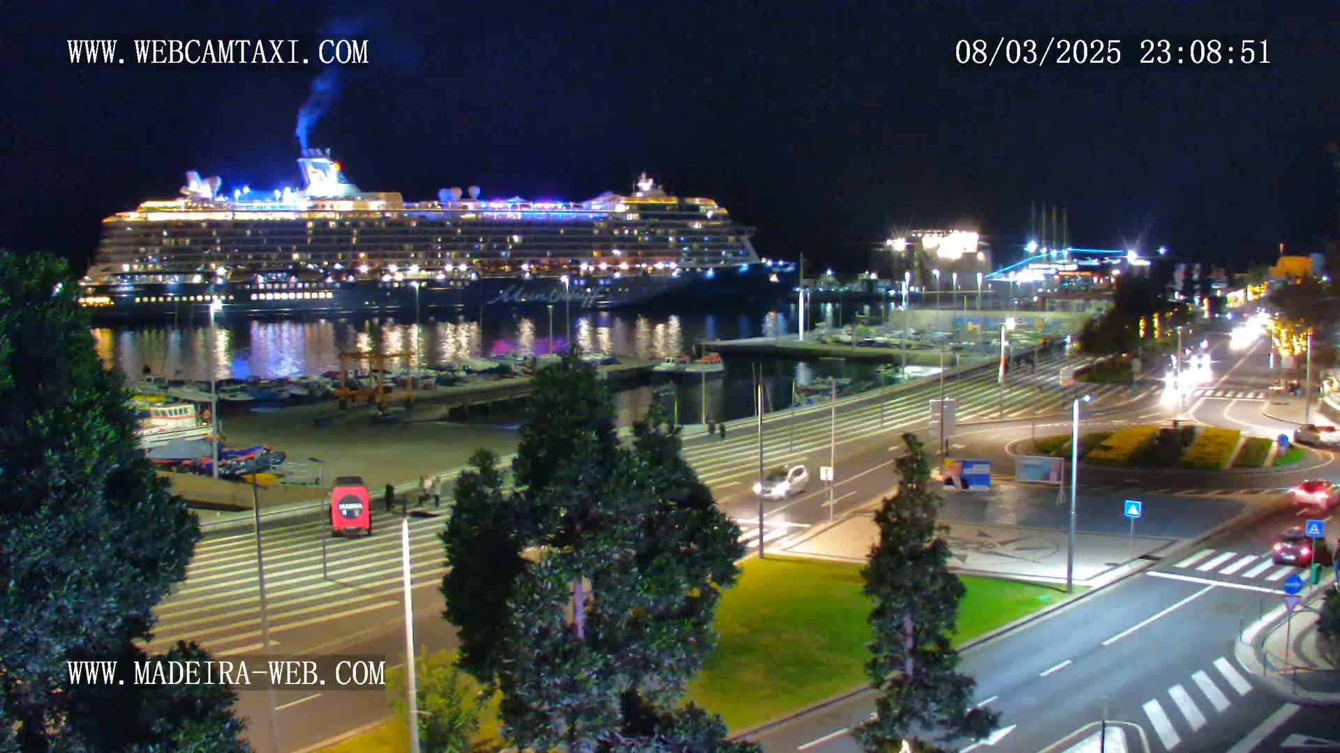 A large cruise ship is docked at a harbor at night, with cars driving along a roadway and trees lining the waterfront.
