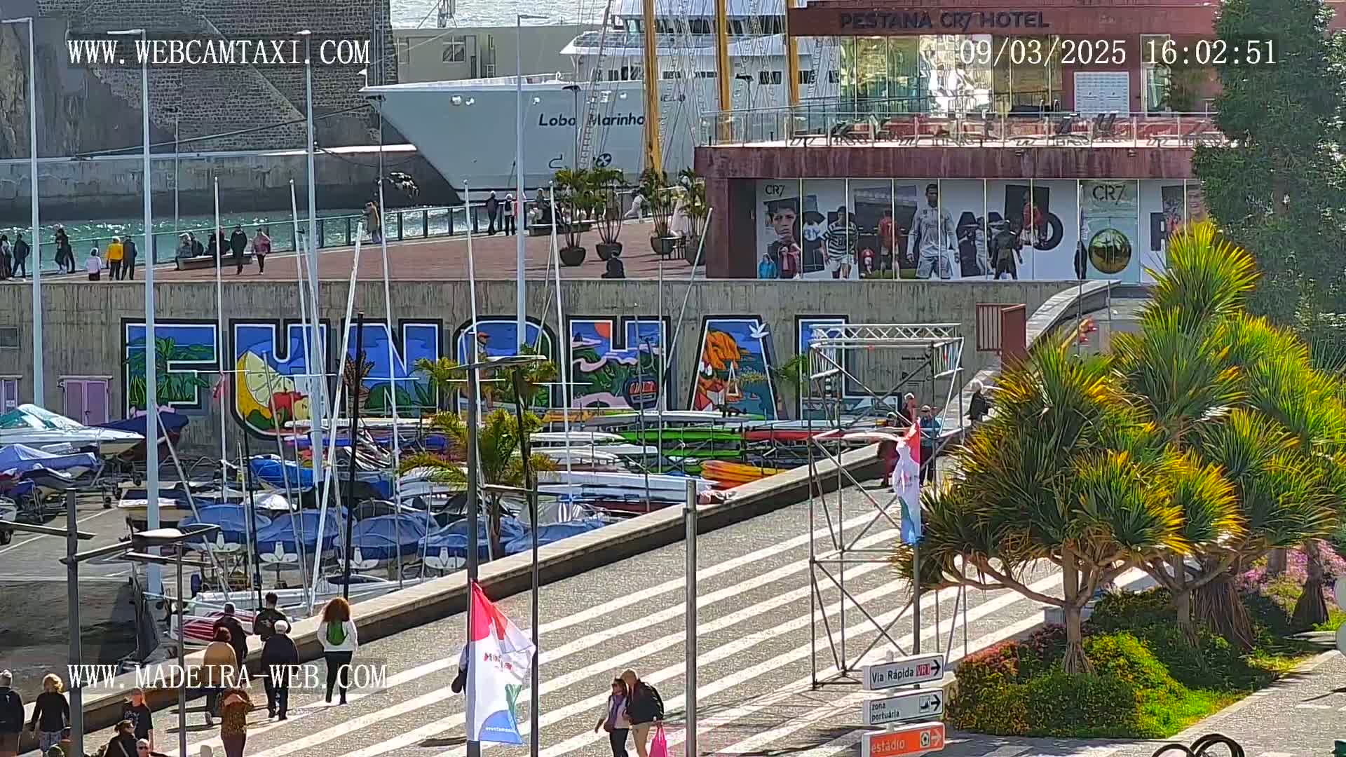 A sunny harbor scene features a large mural, numerous docked boats, pedestrians, and palm trees, with a large cruise ship visible in the background.
