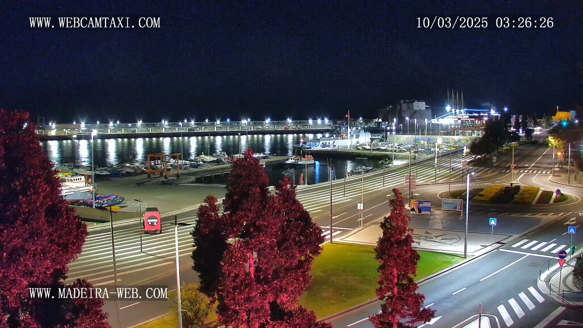 A nighttime view of a marina with boats docked, illuminated by lights, next to a roadway with trees and a roundabout.
