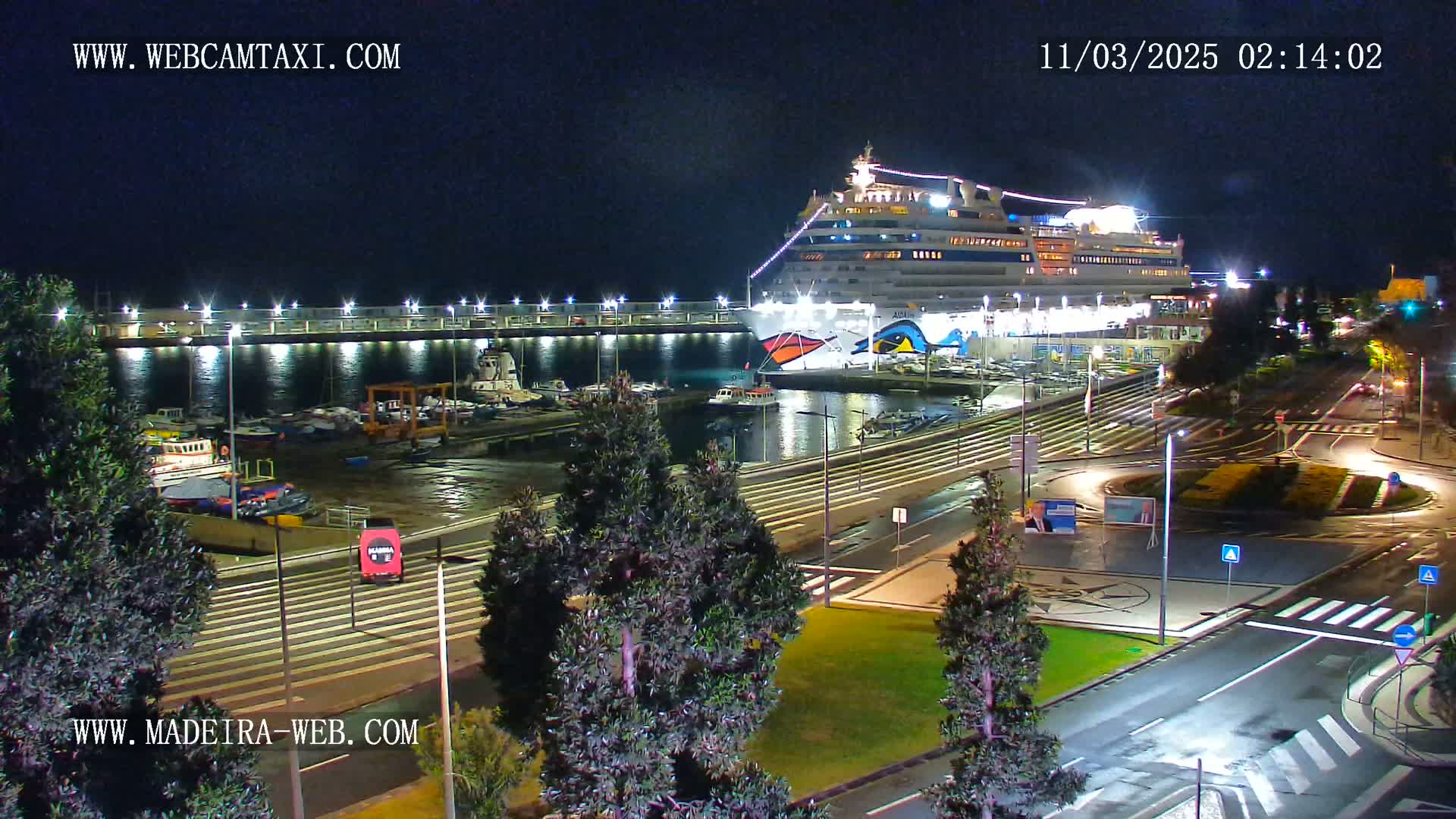 A large cruise ship is docked at a marina at night, with roadways and small trees surrounding the harbor.