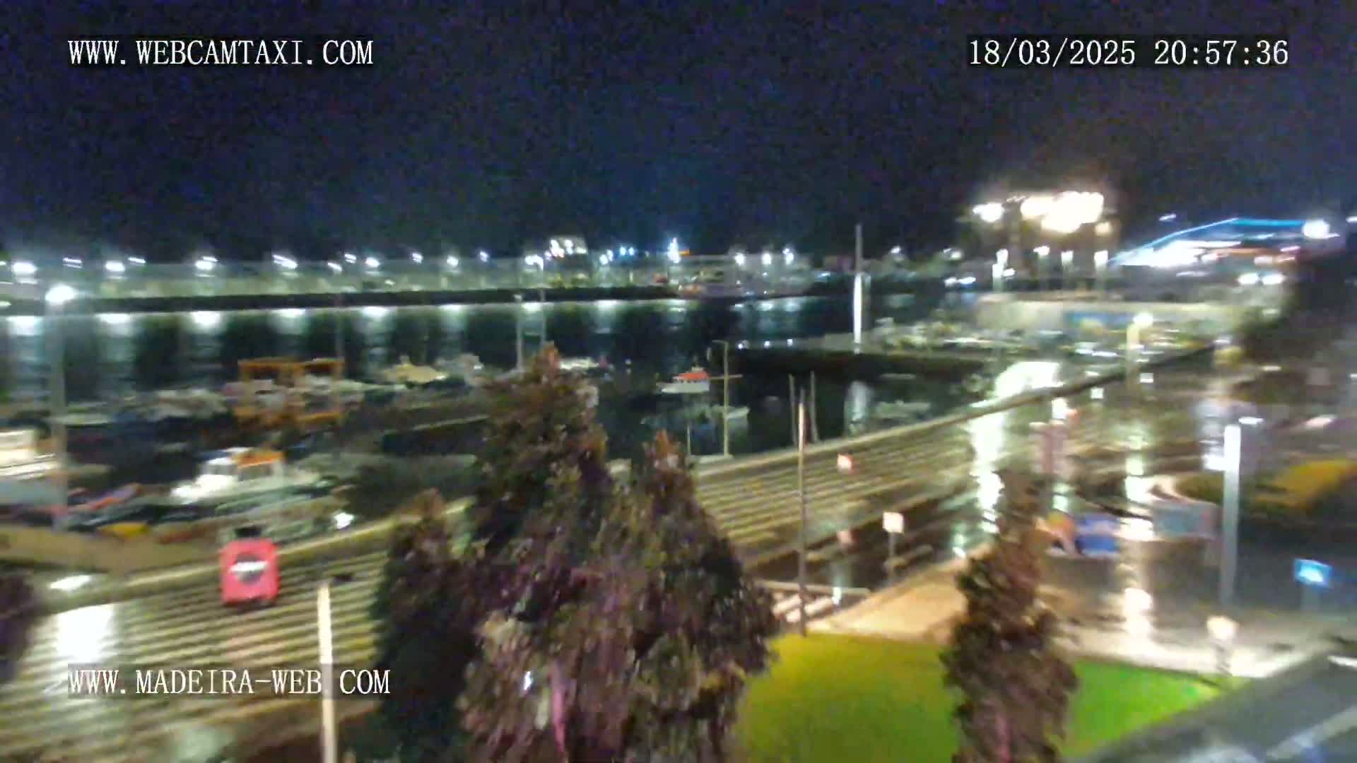 A nighttime view of a harbor filled with boats, surrounded by buildings and illuminated walkways.