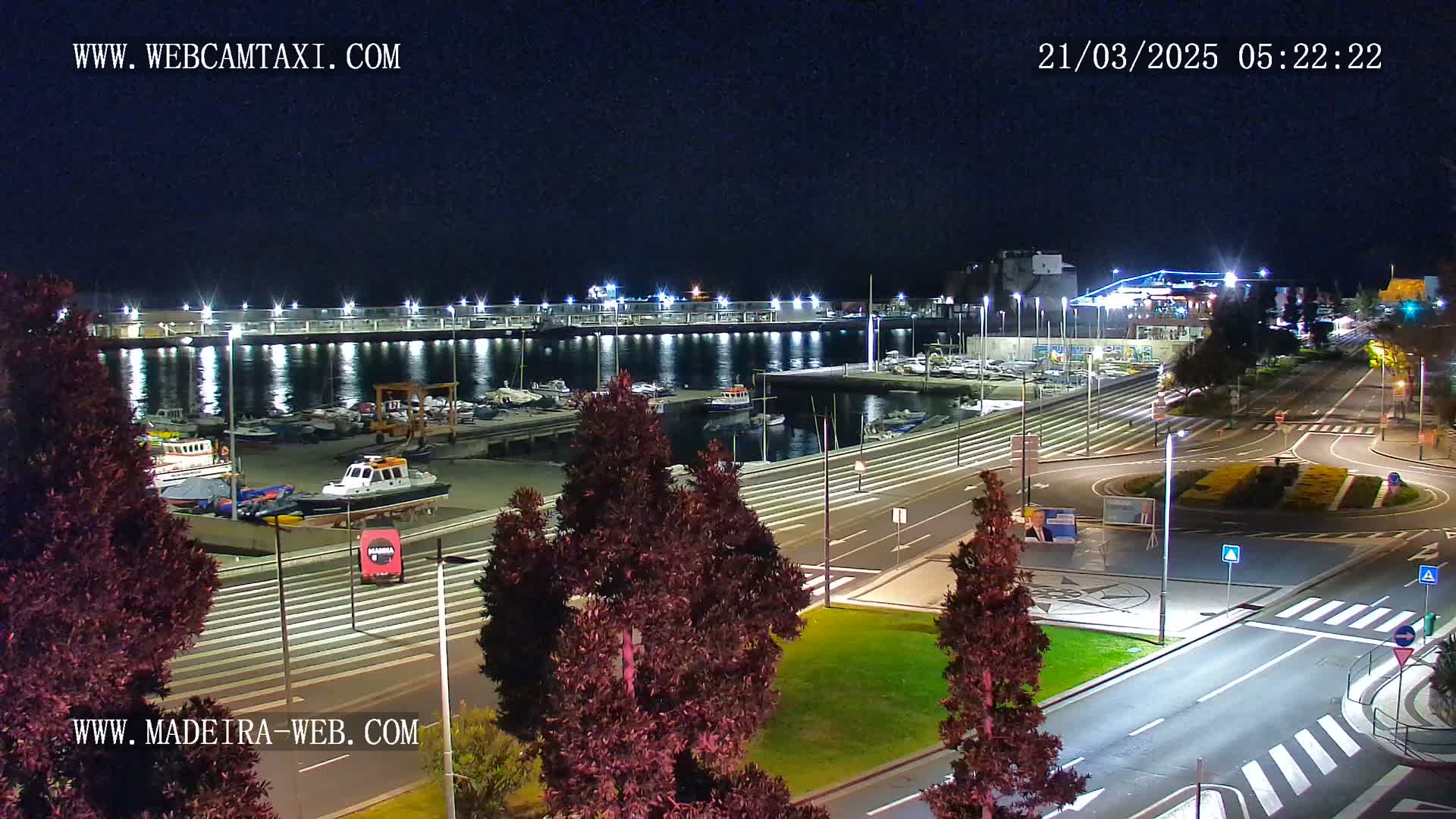 A nighttime view of a marina with boats docked, illuminated by lights, next to a paved area with trees and roads.