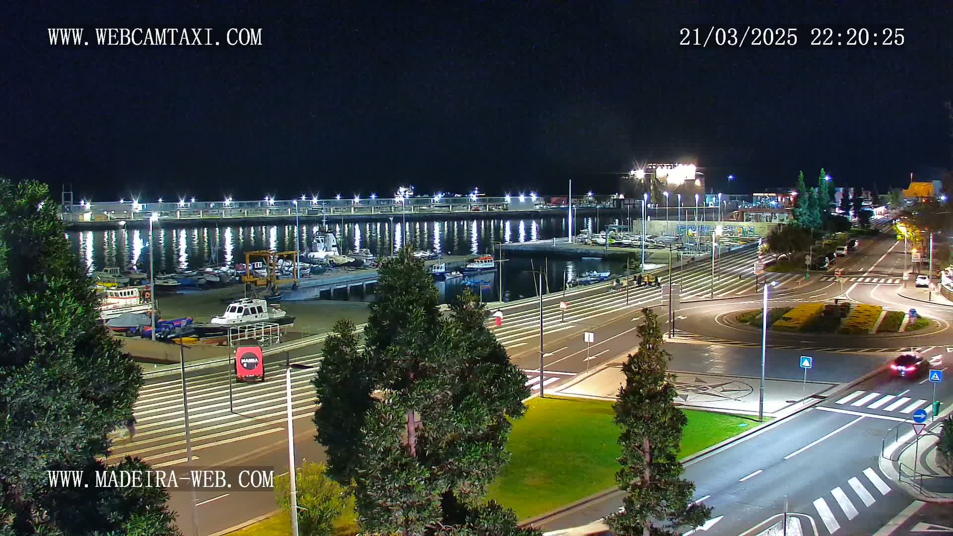 A nighttime view of a harbor filled with boats, adjacent to a roadway with sparse traffic, under clear skies.
