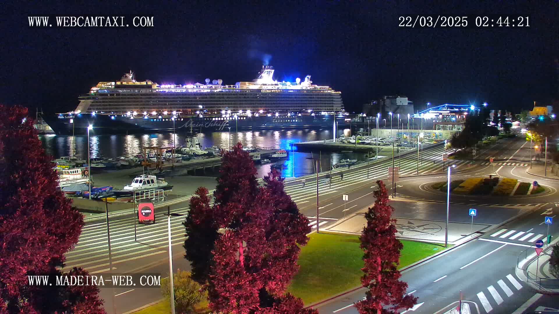 A large cruise ship is docked at a harbor at night, with smaller boats in the water nearby and dark-reddish trees lining a paved area with roads and a roundabout.