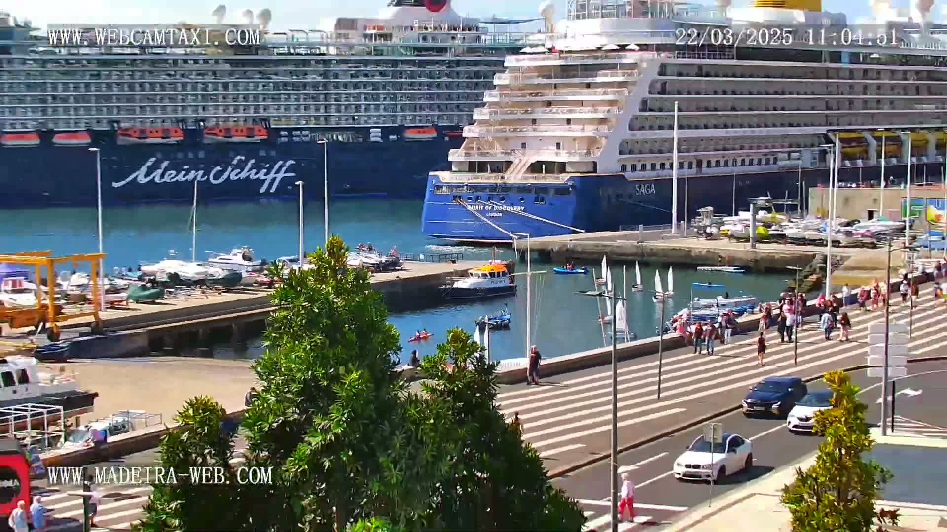 Two large cruise ships are docked at a harbor on a sunny day, with numerous smaller boats and people walking along a nearby waterfront.