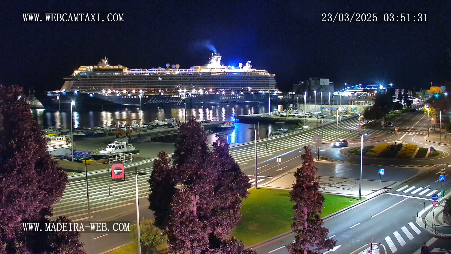 A large cruise ship is docked at a harbor at night, with a few cars visible on nearby wet streets under dark skies.