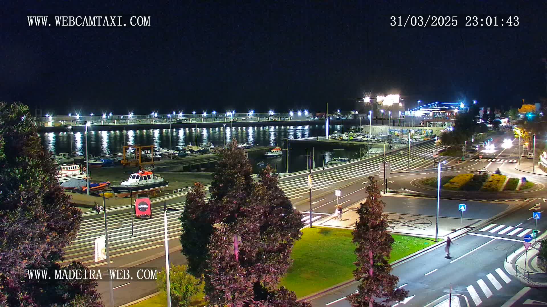 A nighttime view of a harbor filled with boats, adjacent to a roadway with pedestrian crossings and surrounding green spaces.