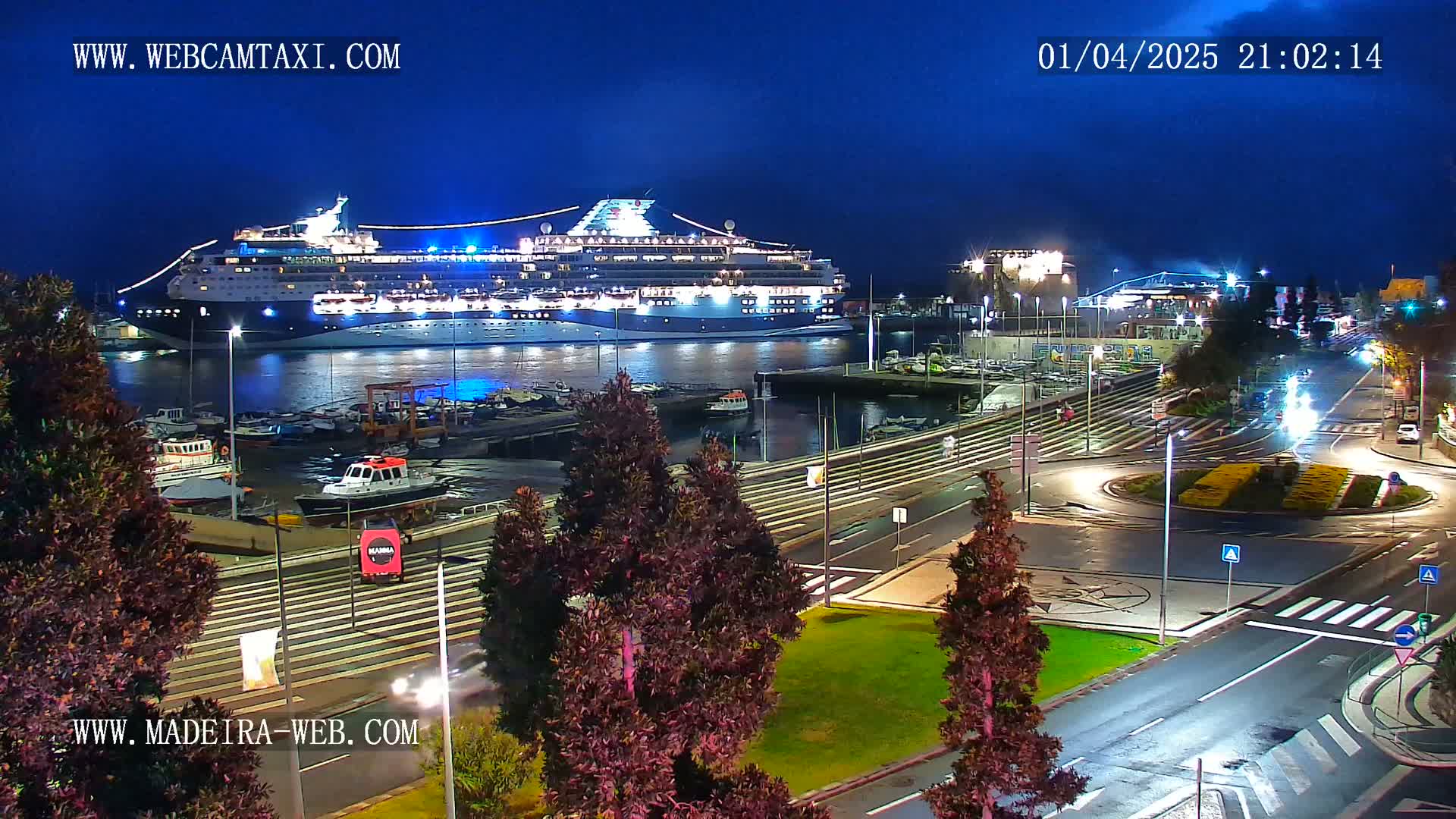 A large cruise ship is docked at a harbor at night, with a roadway and several smaller boats visible in the foreground under a dark, clear sky.