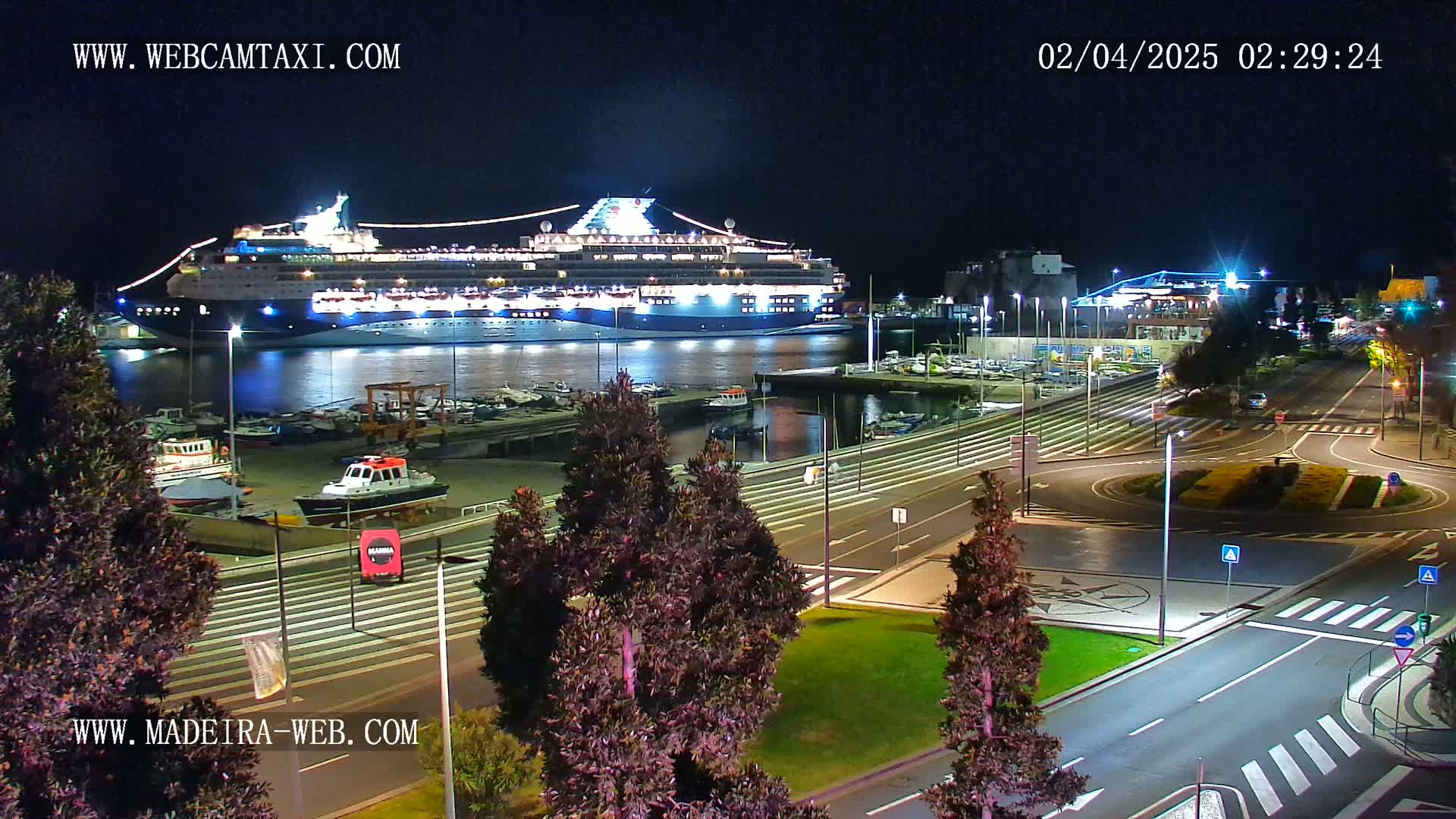 A large cruise ship is docked at a harbor at night, with city streets and landscaping visible in the foreground.