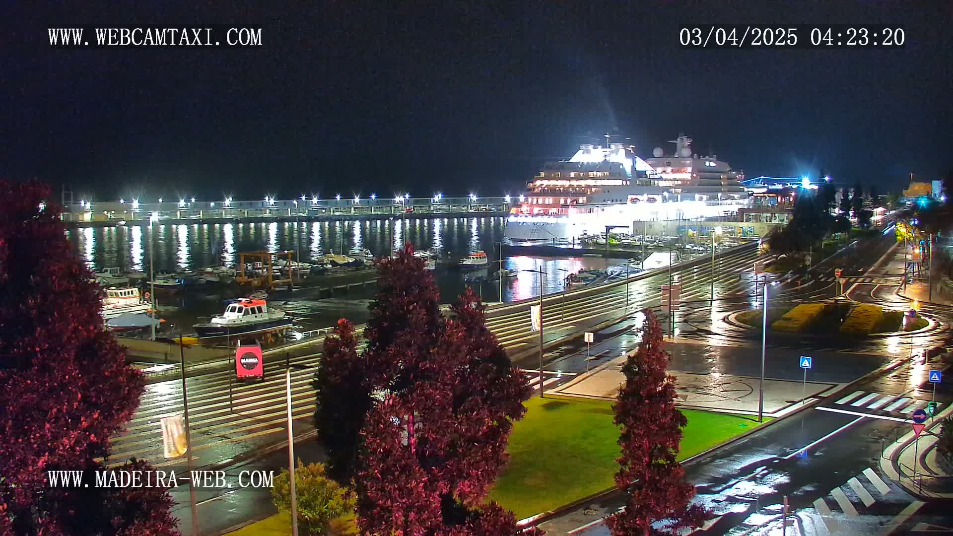 A large cruise ship is docked at a harbor at night in the rain, with smaller boats moored nearby and wet streets visible beyond.
