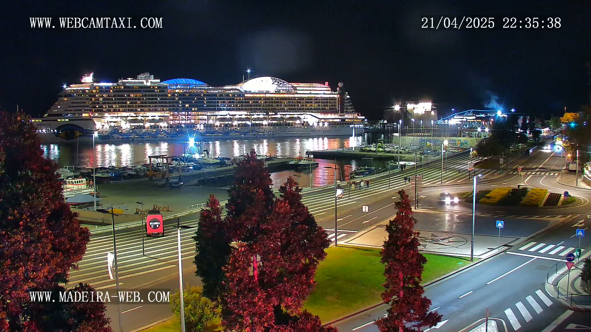A large cruise ship is docked at a harbor at night, with illuminated streets and trees visible in the foreground.
