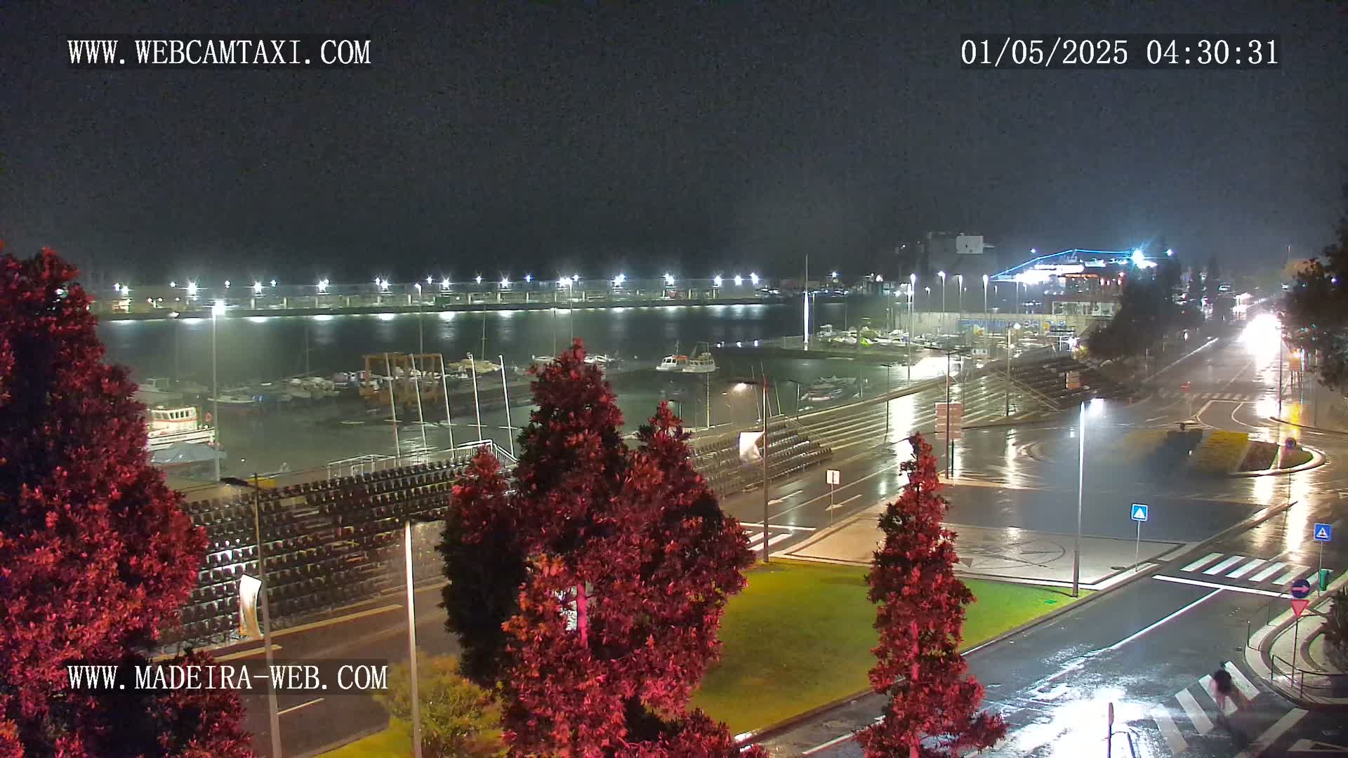 A nighttime view of a harbor marina with numerous boats, surrounded by wet roads and trees under rainy conditions.