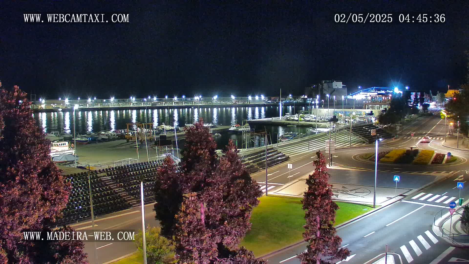 A nighttime view of a harbor filled with boats, a roadway with a roundabout, and several dark-colored trees illuminated by artificial light.