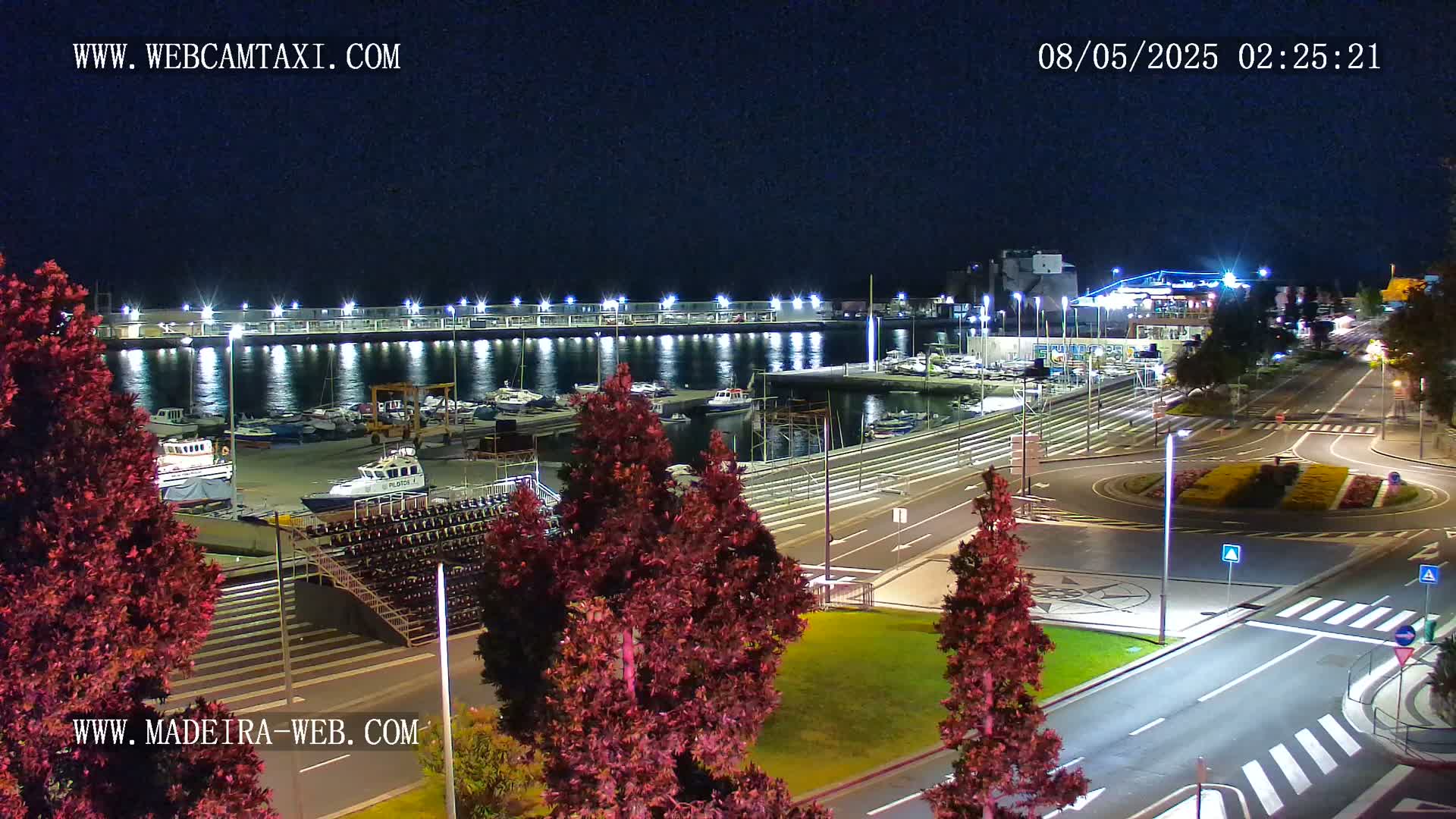 A nighttime view of a harbor filled with boats, a roadway with crosswalks, and several red-leaved trees in the foreground, under a clear sky.