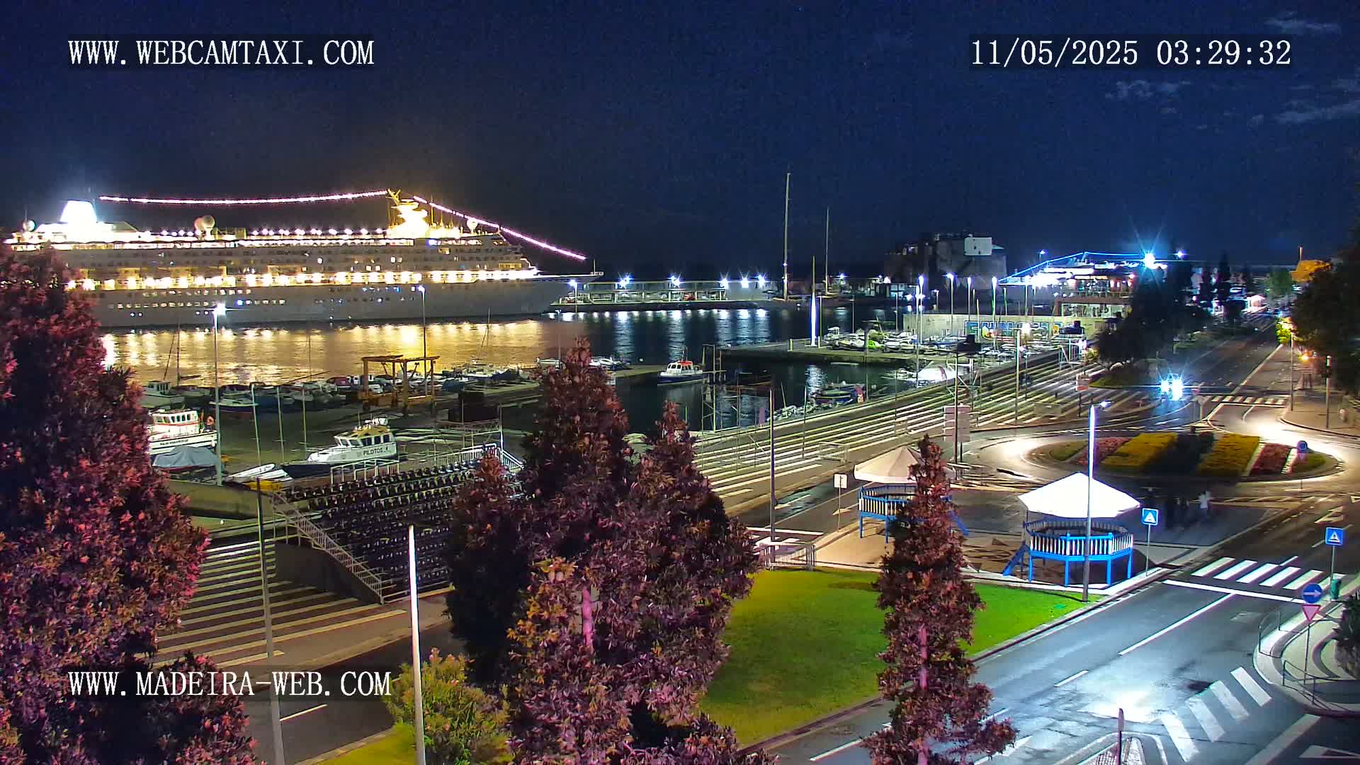 A large cruise ship is docked at a marina at night, with smaller boats also present, under a clear, dark sky.