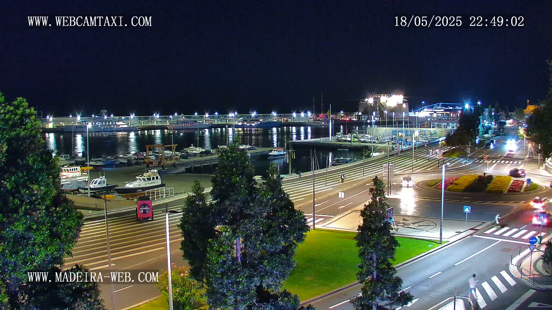 A nighttime view of a harbor filled with boats and a roadway with cars, under a clear sky.
