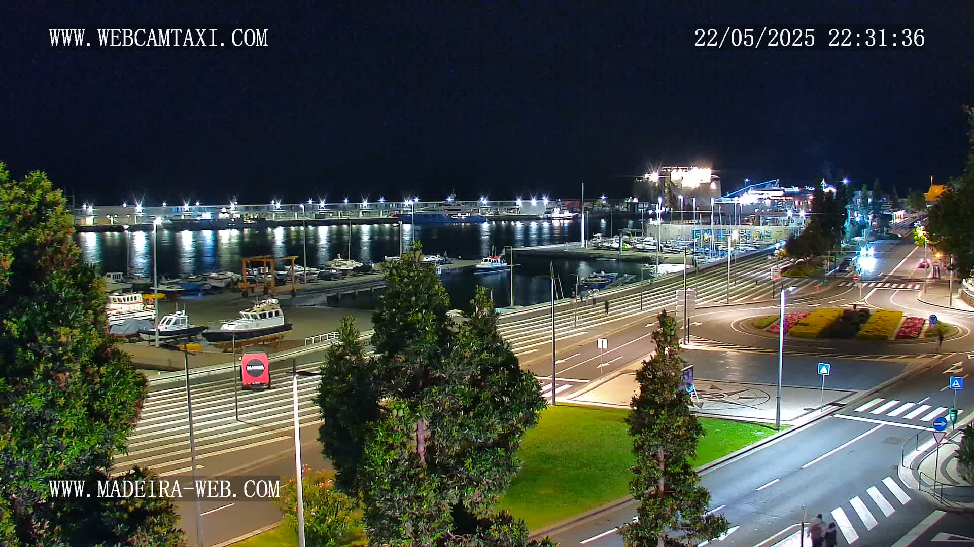 A nighttime view of a harbor filled with boats and yachts, adjacent to a roadway with crosswalks and greenery under a clear, dark sky.