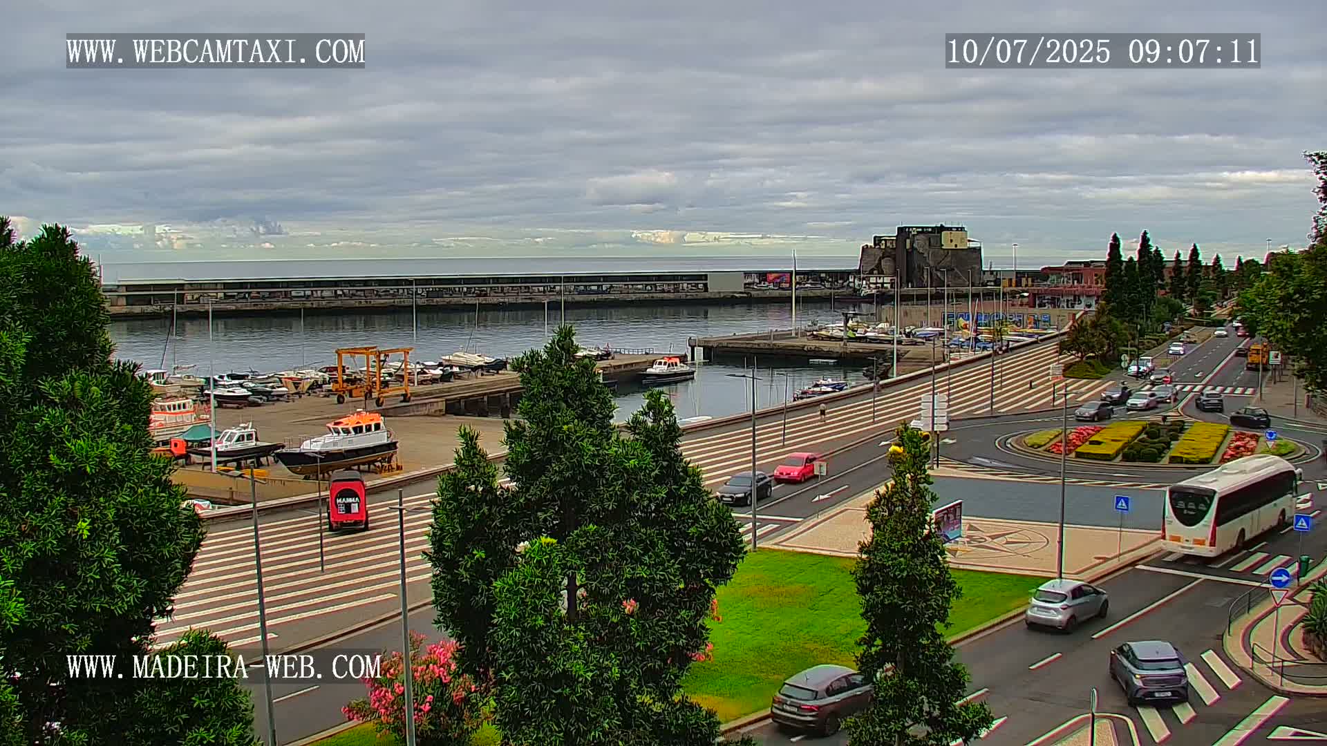A harbor with numerous boats, a roadway with cars and a bus, and green spaces under an overcast sky.