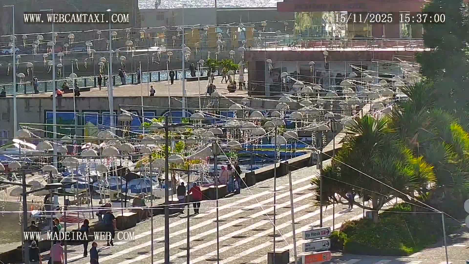 CR7 Museum & Busto do Bust of Dr. Francisco Sá Carneiro PTZ Live Cam - Funchal, Madeira, Portugal