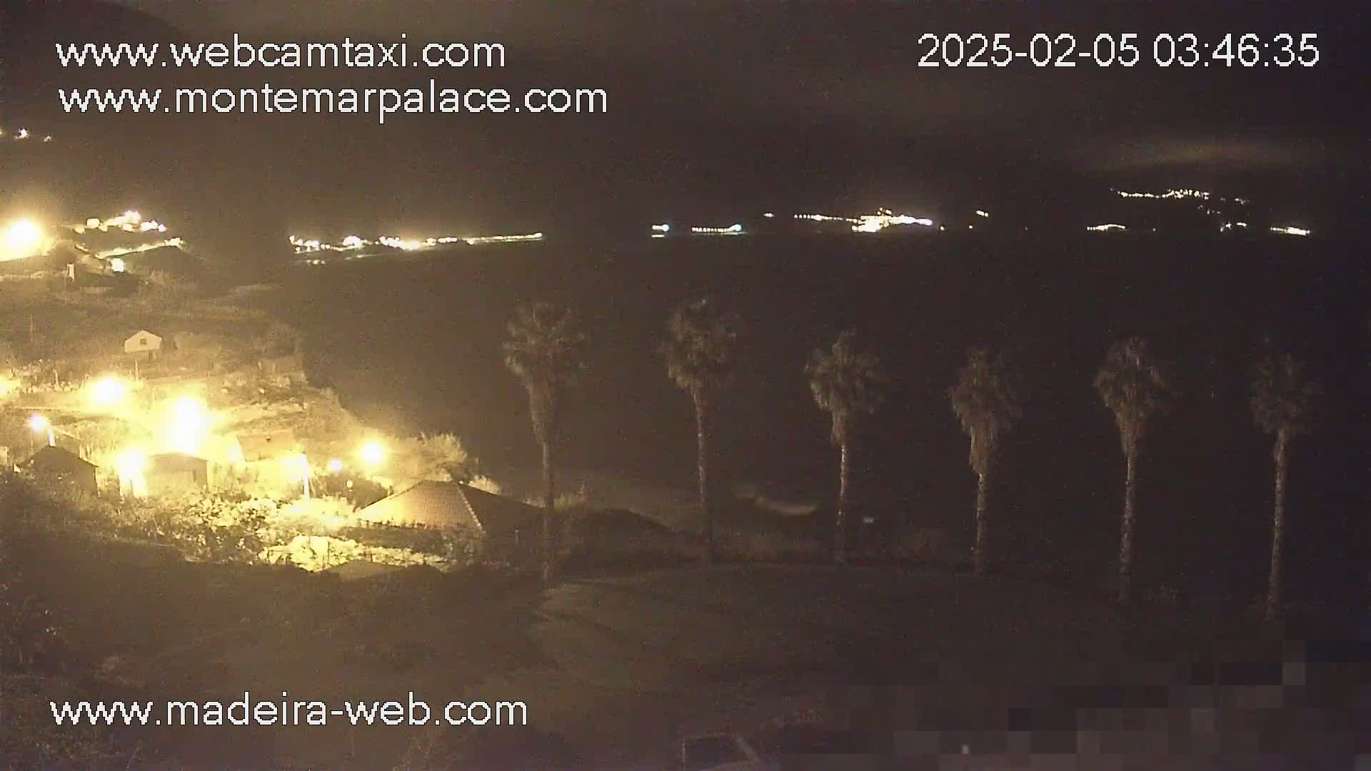 A nighttime view of a coastal area shows houses illuminated with lights, palm trees silhouetted against a dark sky, and distant lights on a hillside.