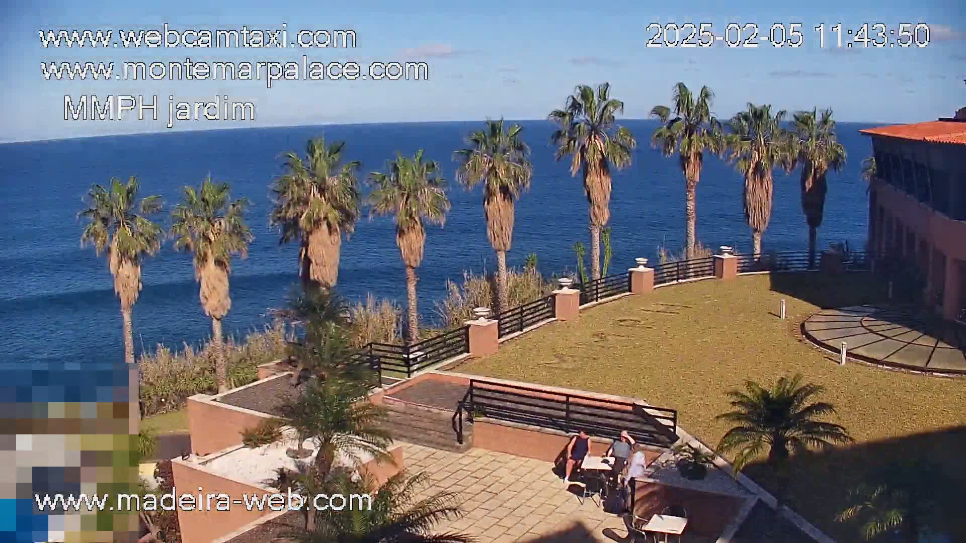 A sunny outdoor scene shows a patio area overlooking the ocean, with palm trees lining the edge and a few people sitting at a table.